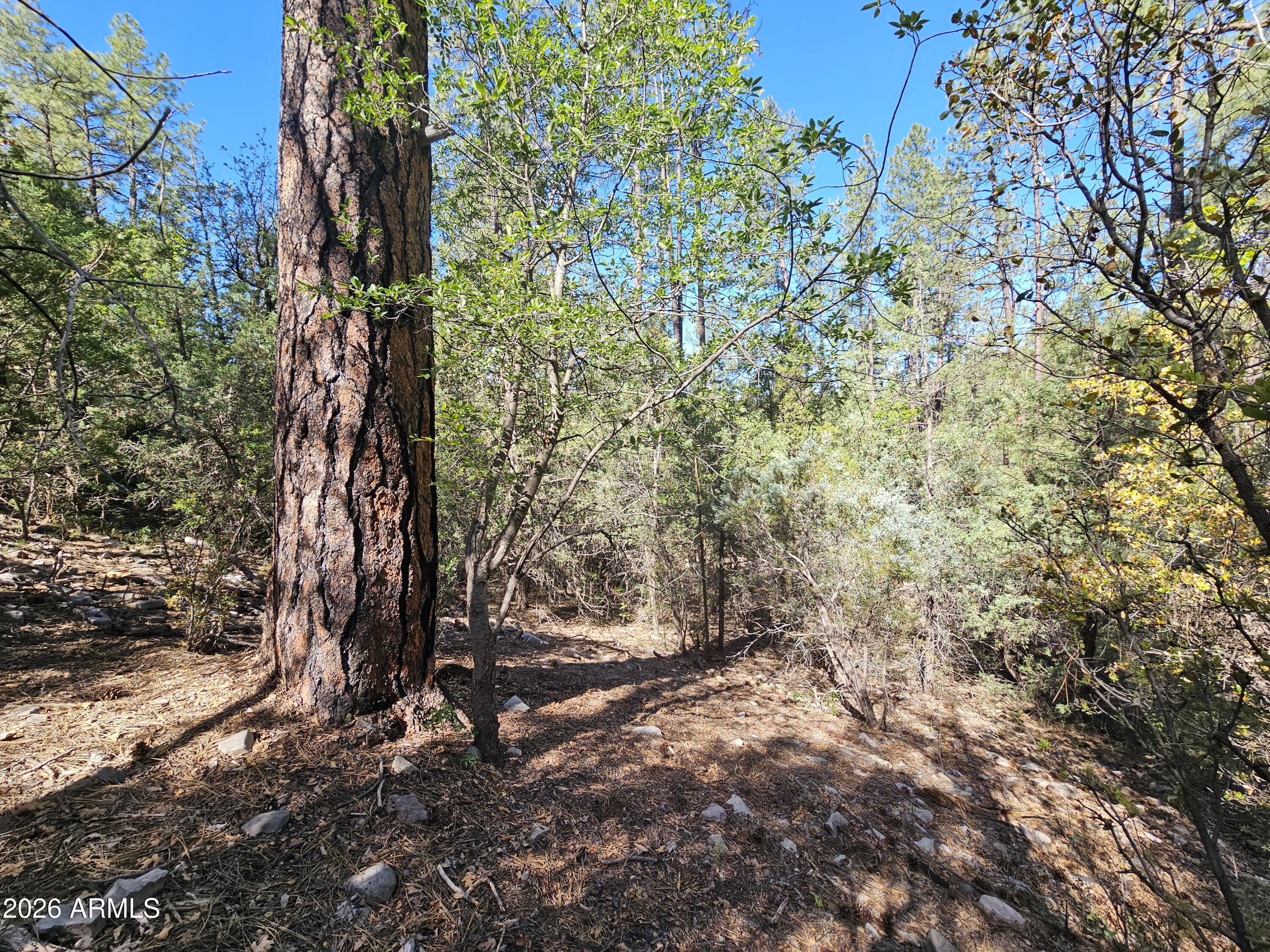 WHISPERING PINES PLAT 8 - Land