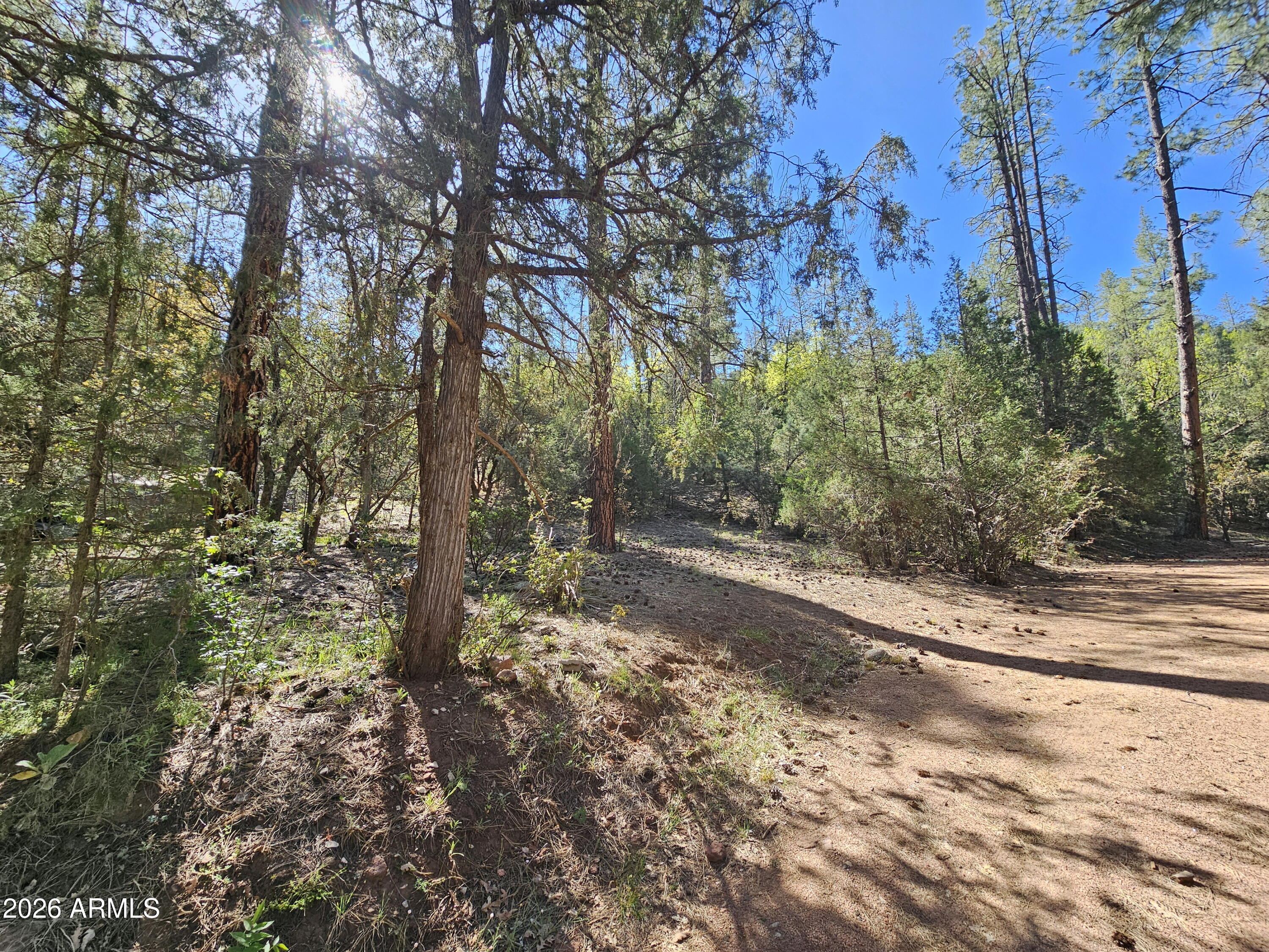 Build your dream home in the tall pines north of Payson. This acre of land has a view of the Mogollon Rim and the East Verde River and lots of trails are nearby. Septic tank already in. Water to the lot line and electric near. Survey map available.