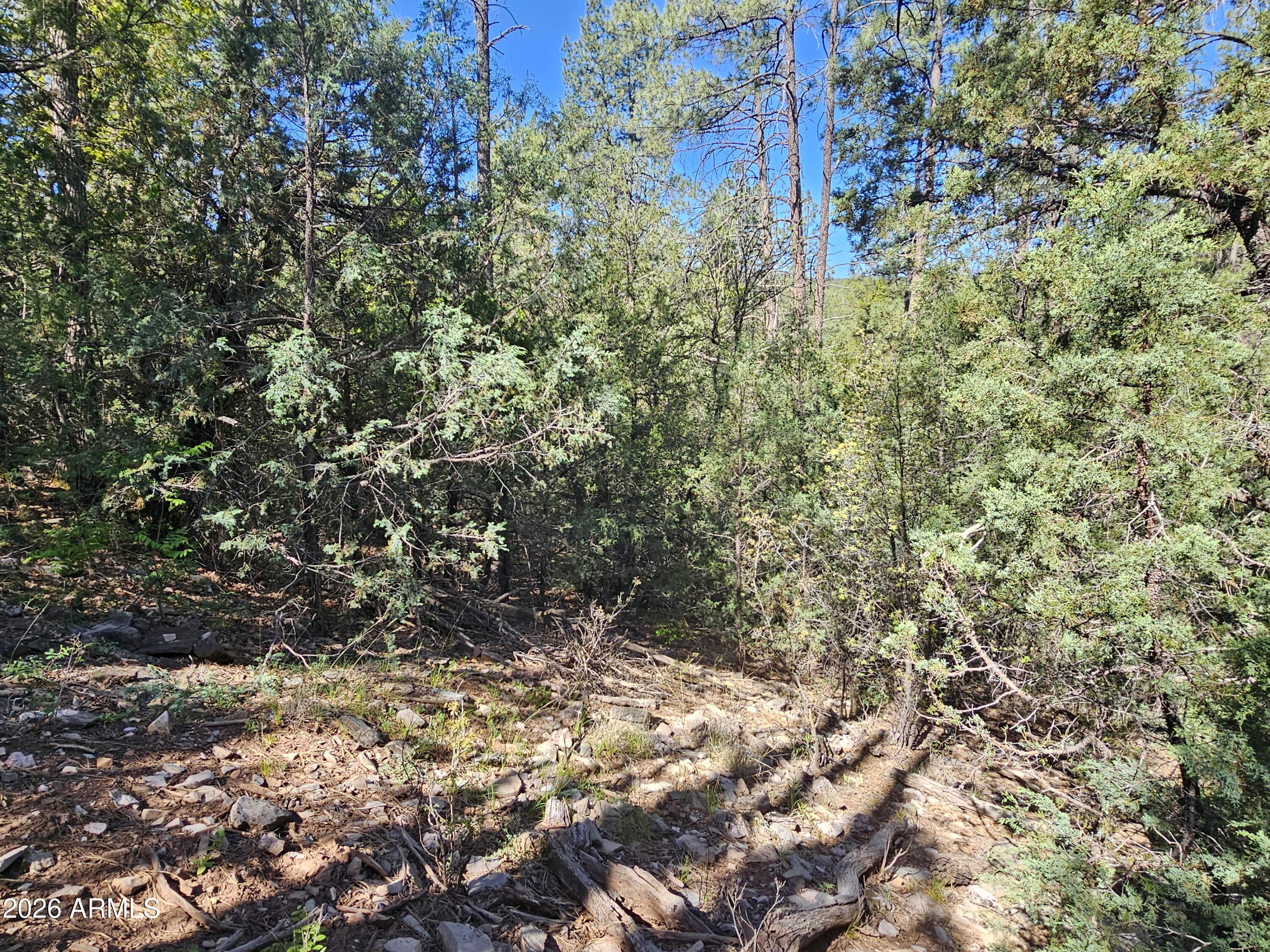 WHISPERING PINES PLAT 8 - Land