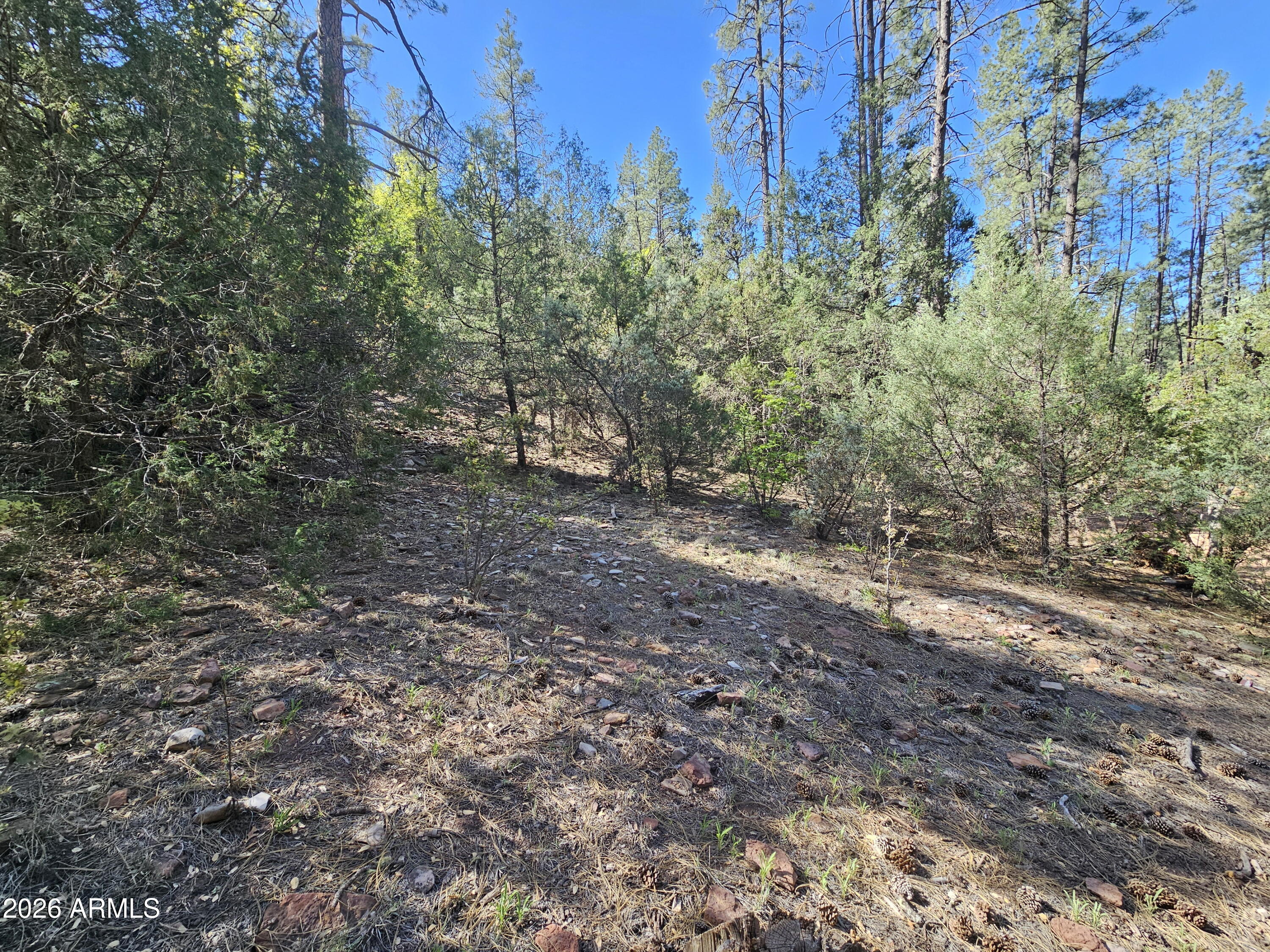 WHISPERING PINES PLAT 8 - Land