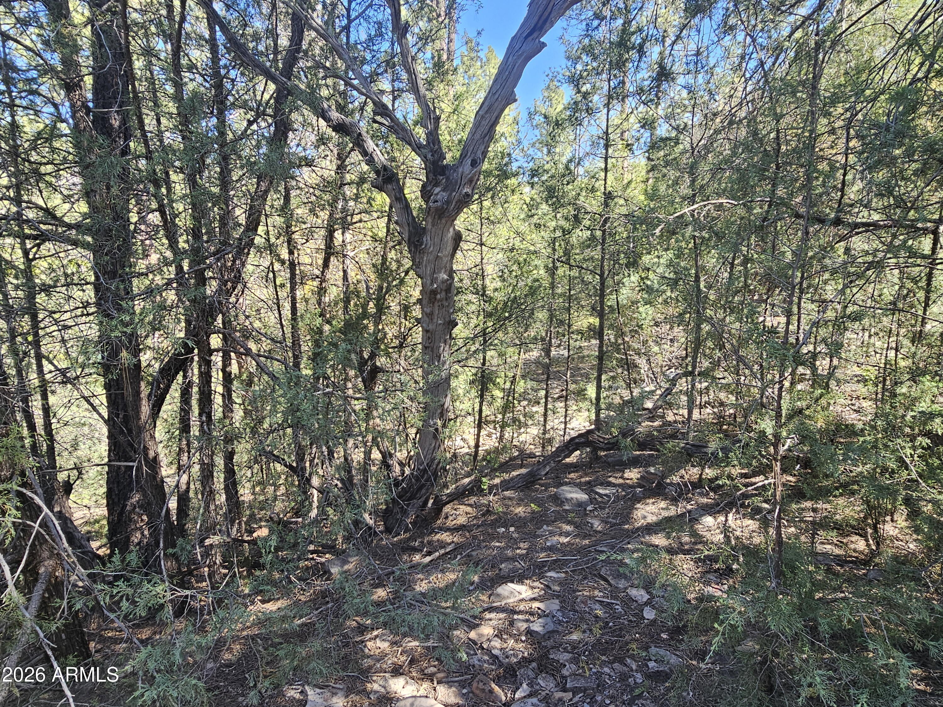 WHISPERING PINES PLAT 8 - Land