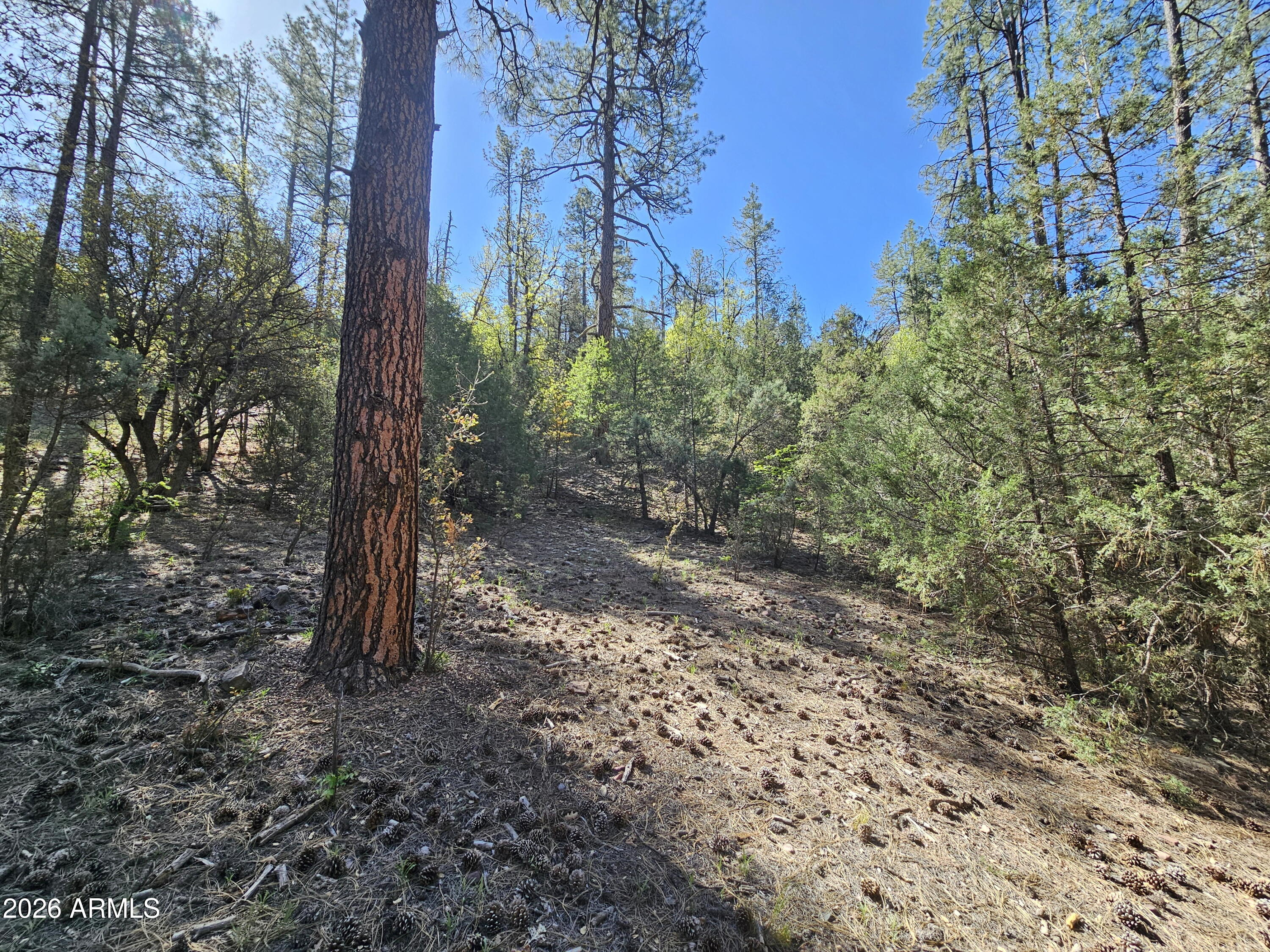 WHISPERING PINES PLAT 8 - Land