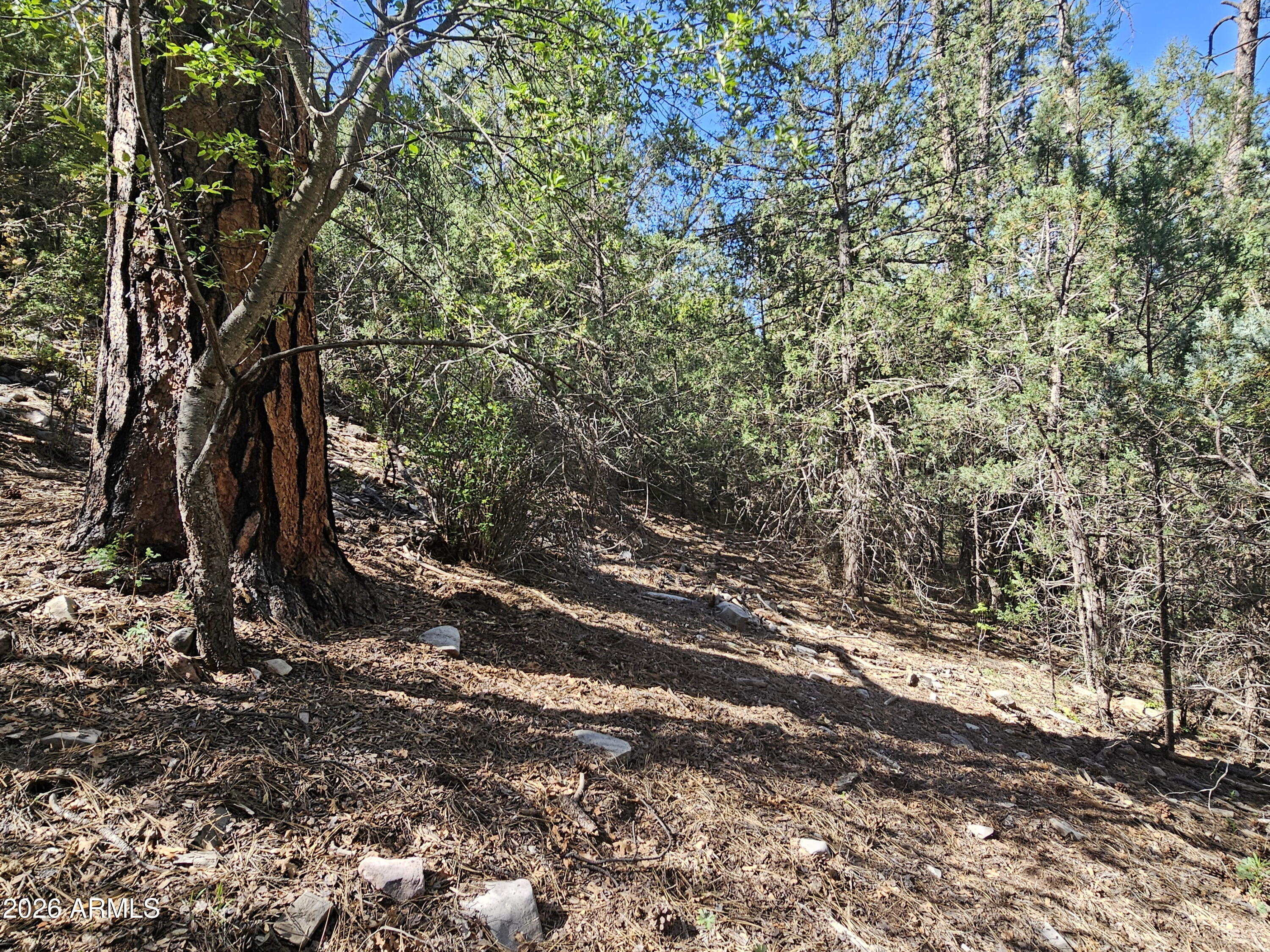 WHISPERING PINES PLAT 8 - Land