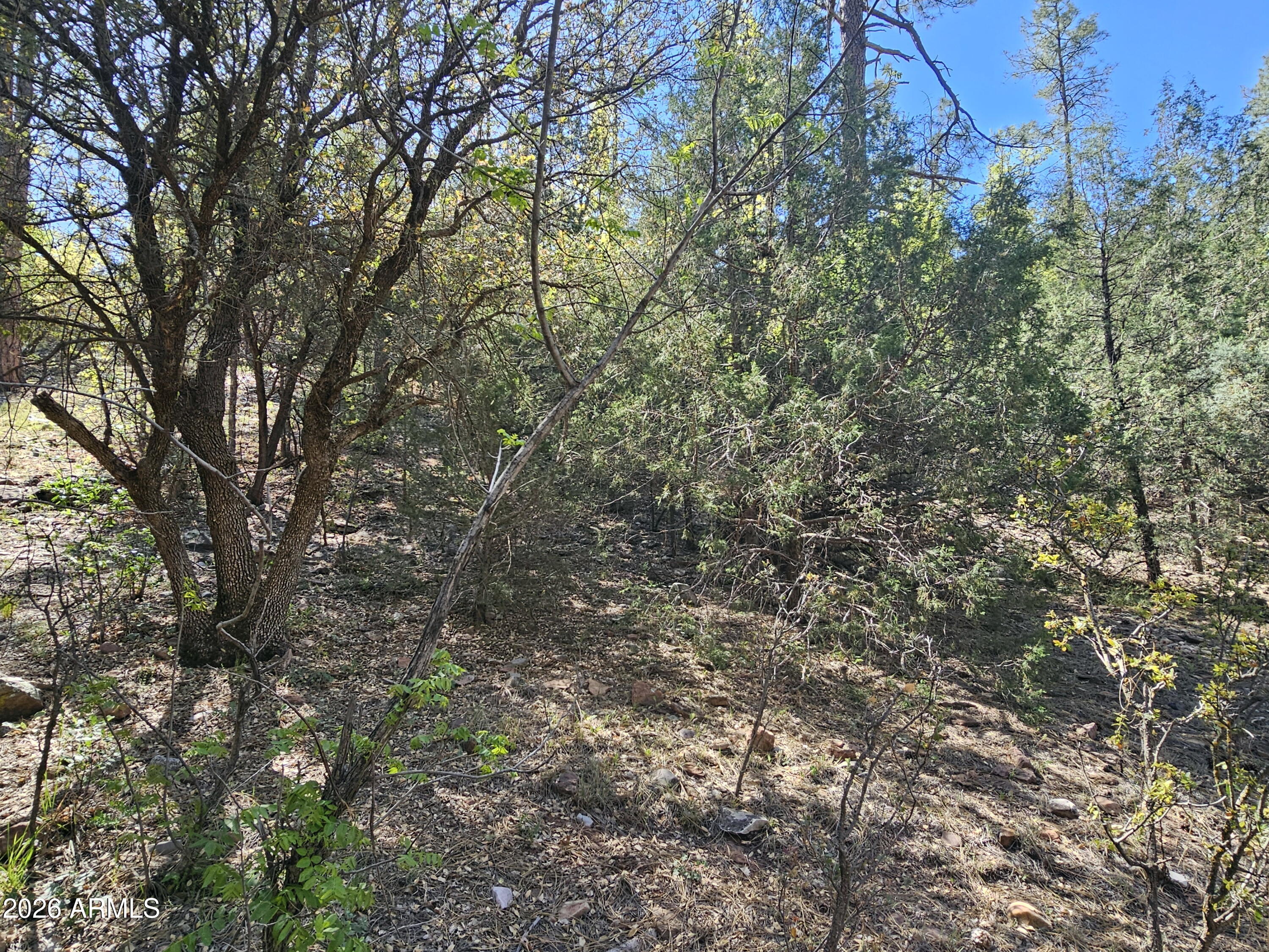 WHISPERING PINES PLAT 8 - Land