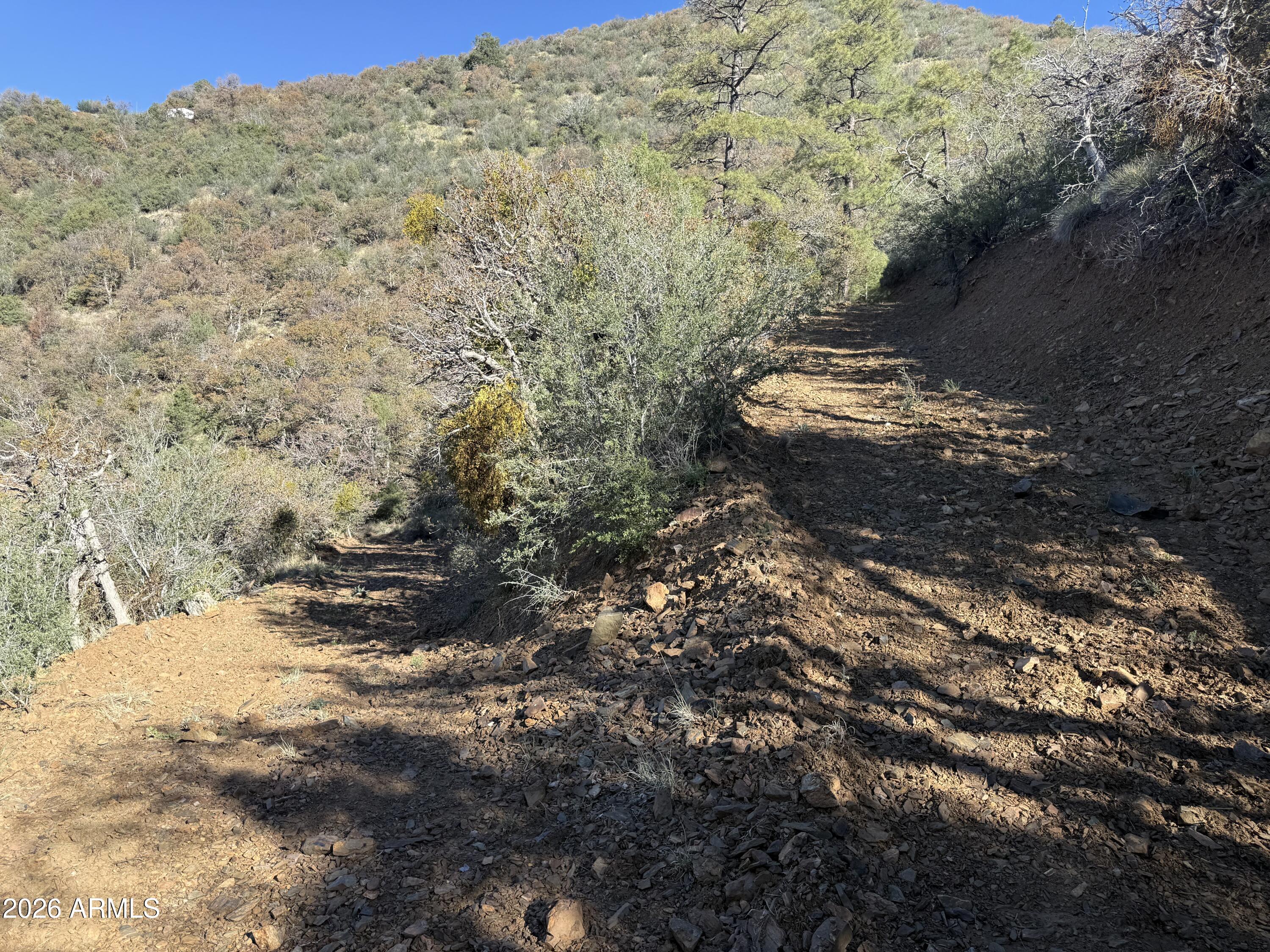 Here is your opportunity to build your own custom Crown King cabin on this off-grid parcel. Located high above Crown King with year round access and amazing views. 4-wheel drive required. Additional acreage available! This lot offers seclusion, a shared driveway, small building pad and borders Prescott National Forest. Only 1.5 hours from North Phoenix, yet far from ordinary.
