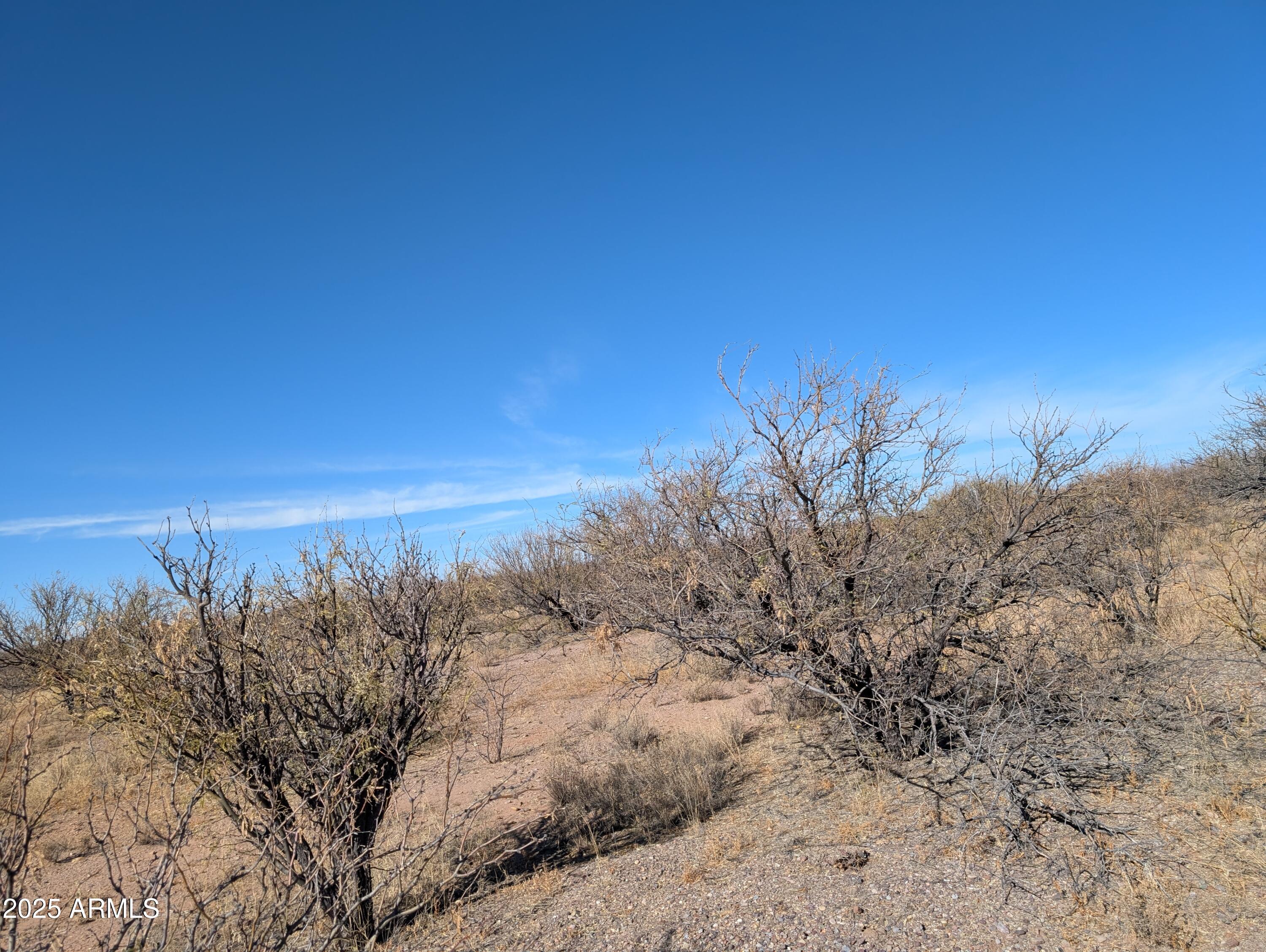 3 Canyons Ranch - Land