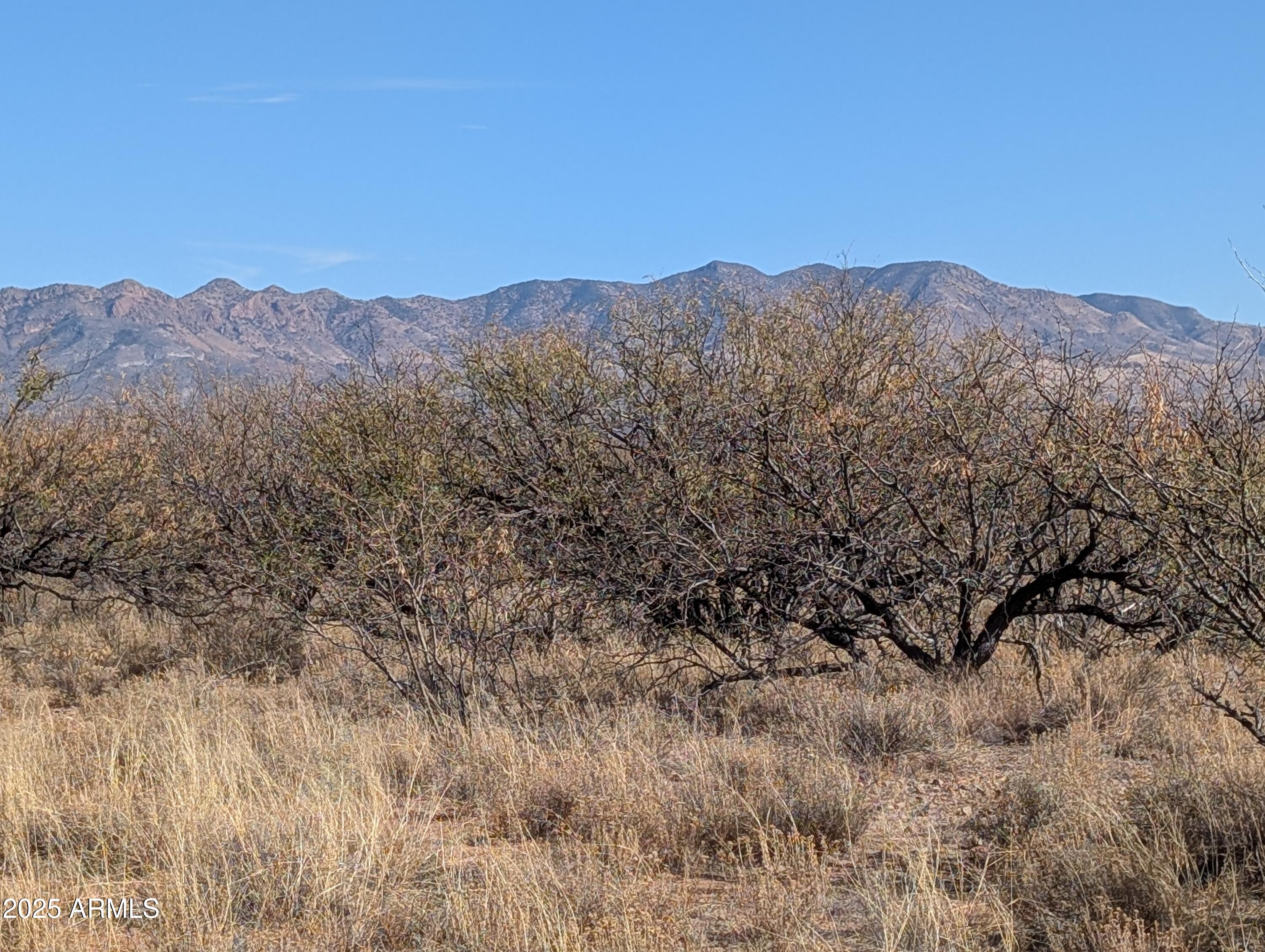 3 Canyons Ranch - Land