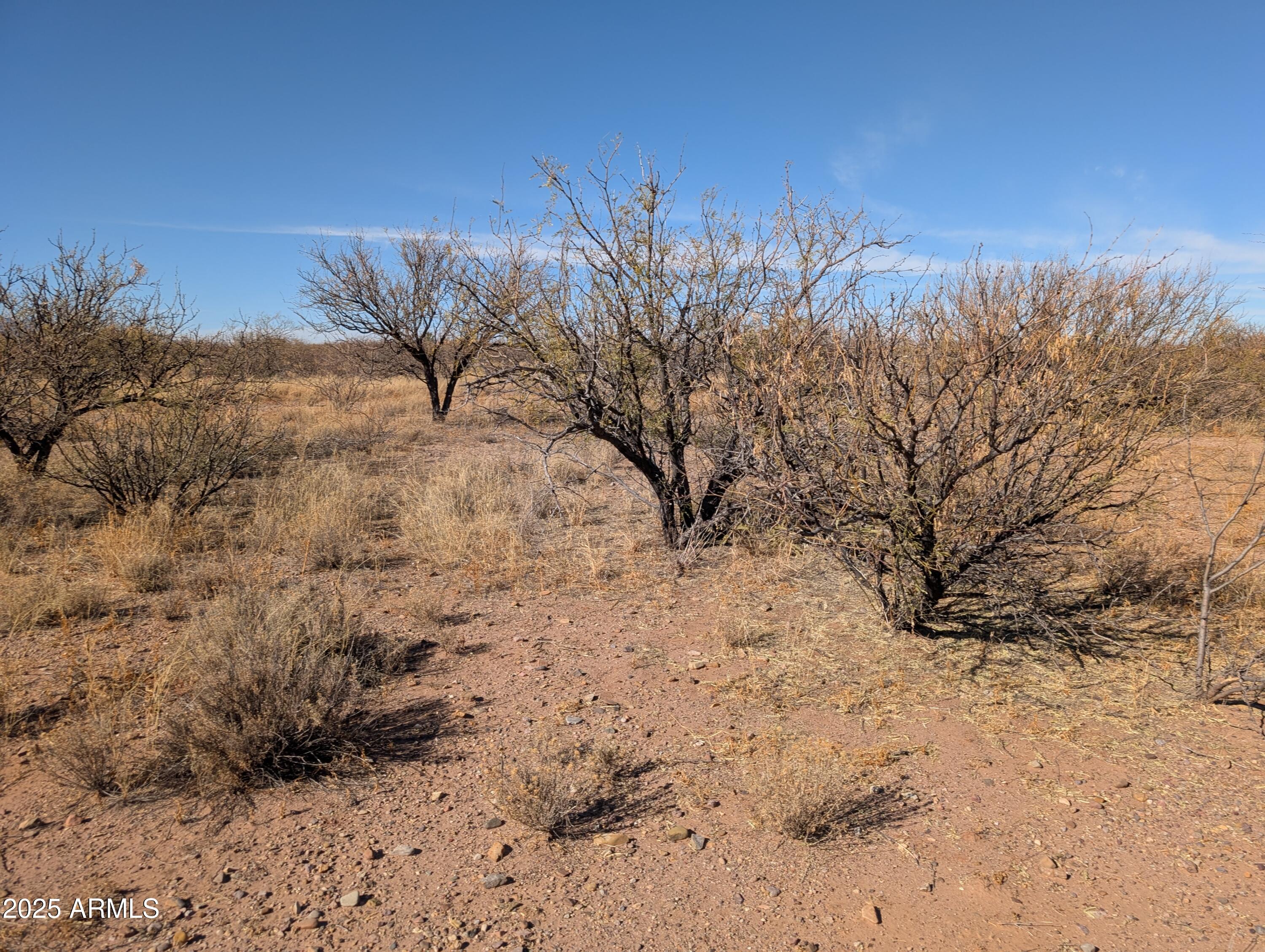 3 Canyons Ranch - Land