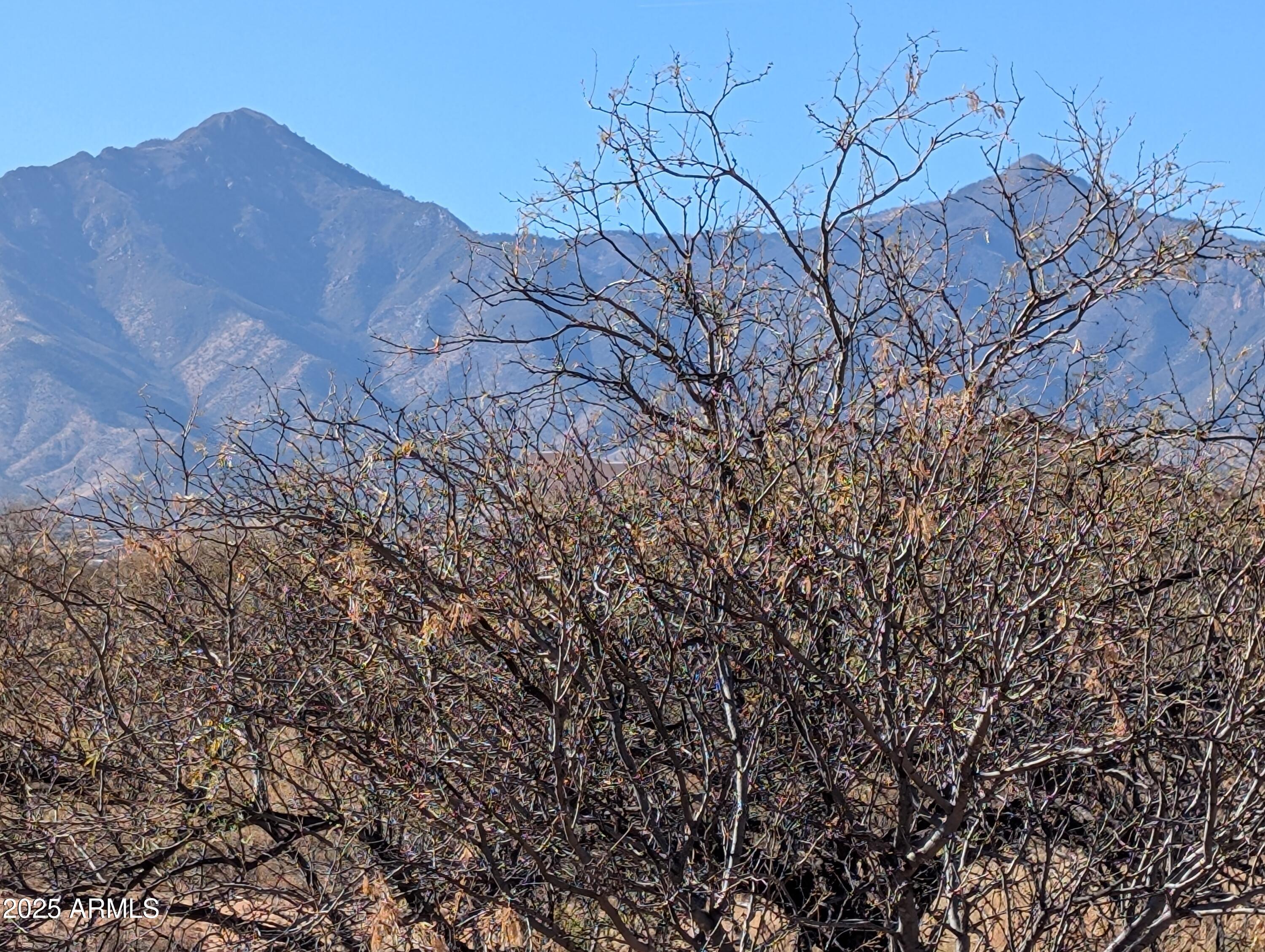 3 Canyons Ranch - Land