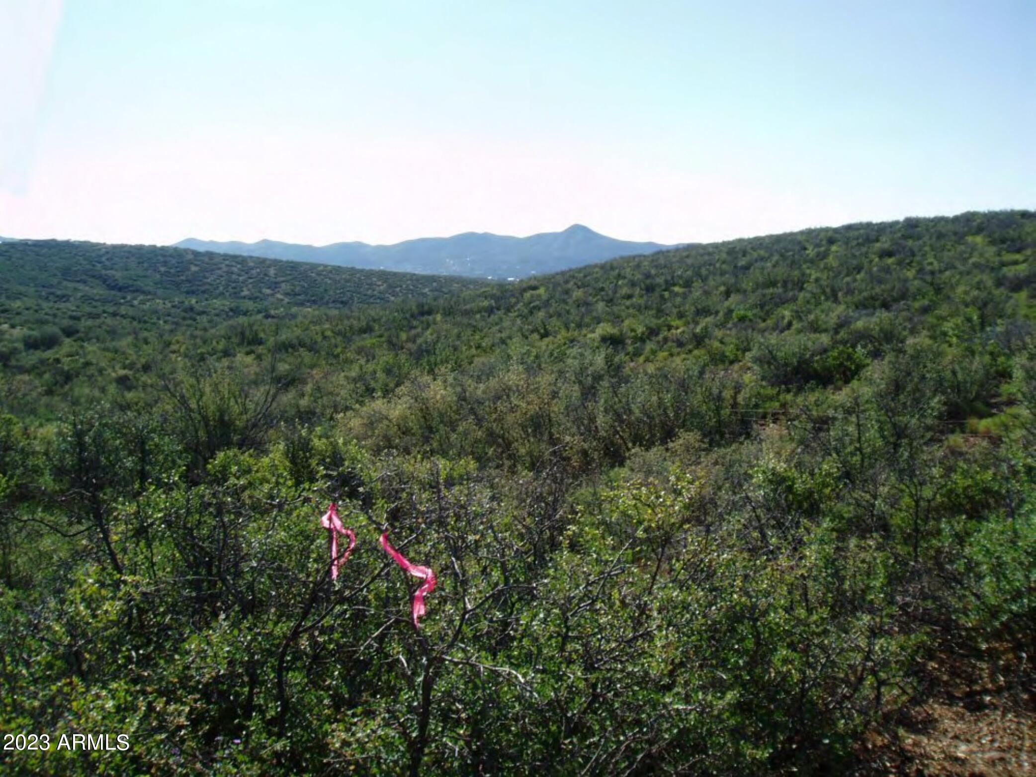 PRESCOTT DELLS RANCHES - Land