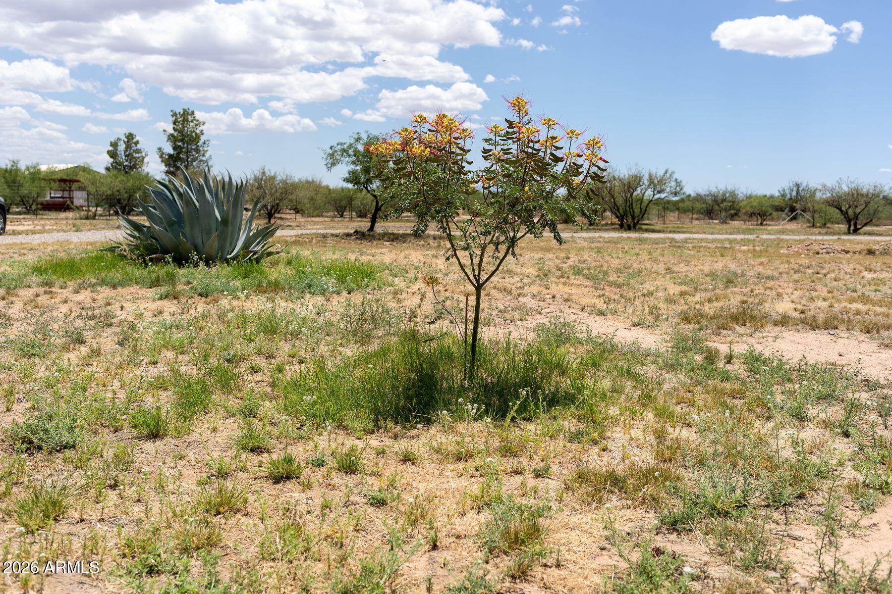 PALOMINAS RANCHES UNIT 1 - Residential