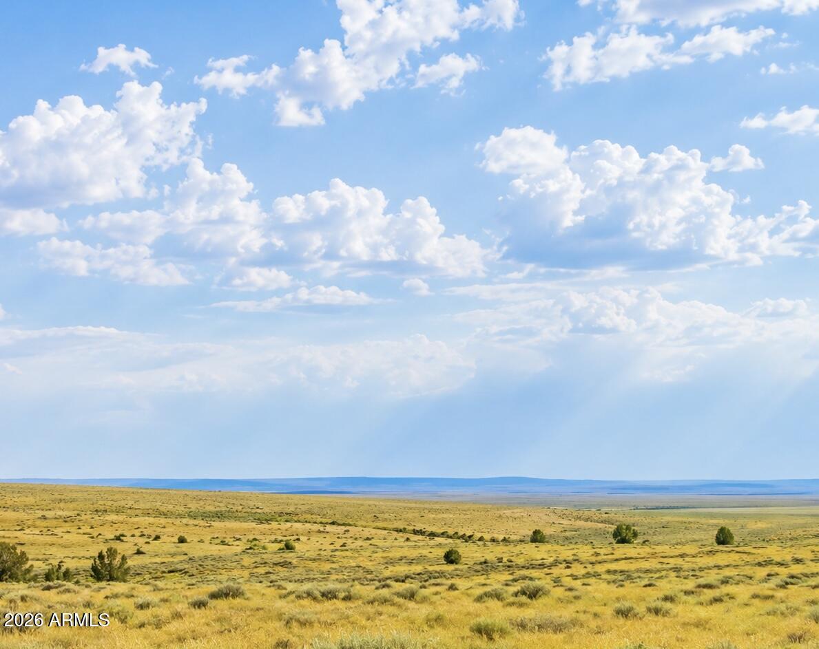 BELL BRAND RANCHES UNIT 8 - Land