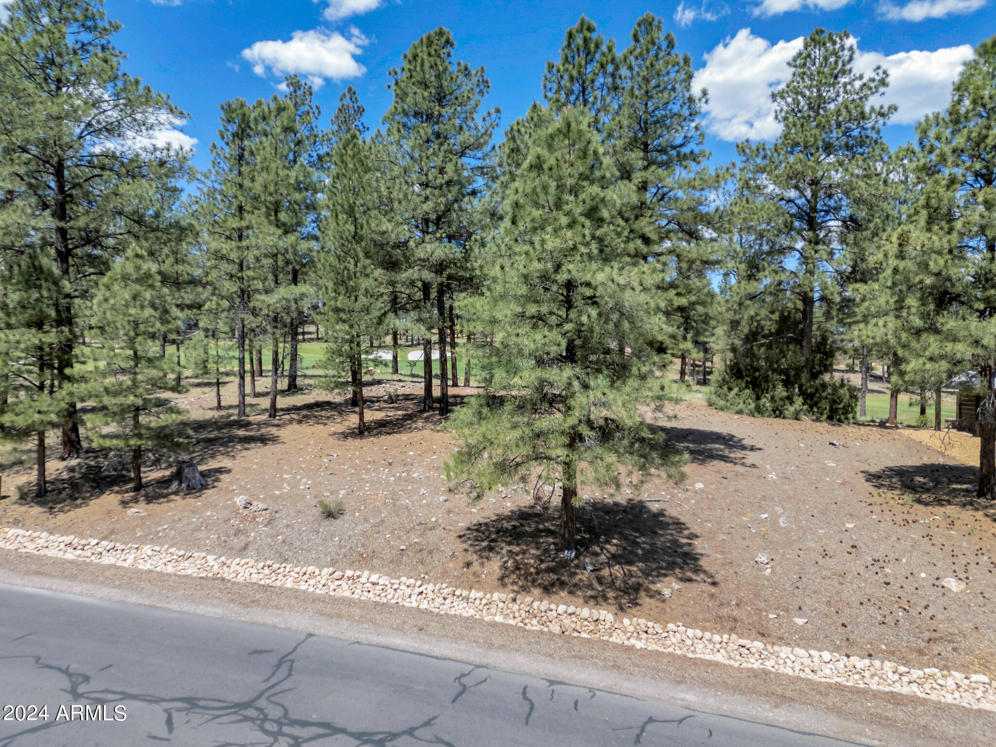 Pine Canyon - Land