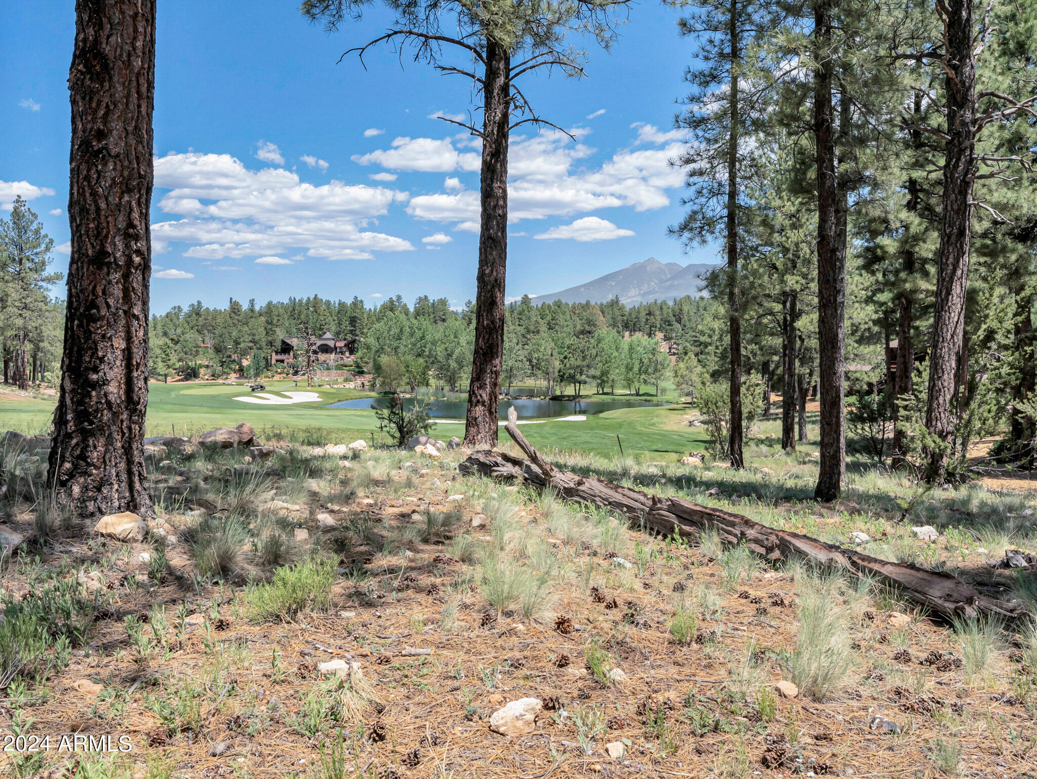 Pine Canyon - Land