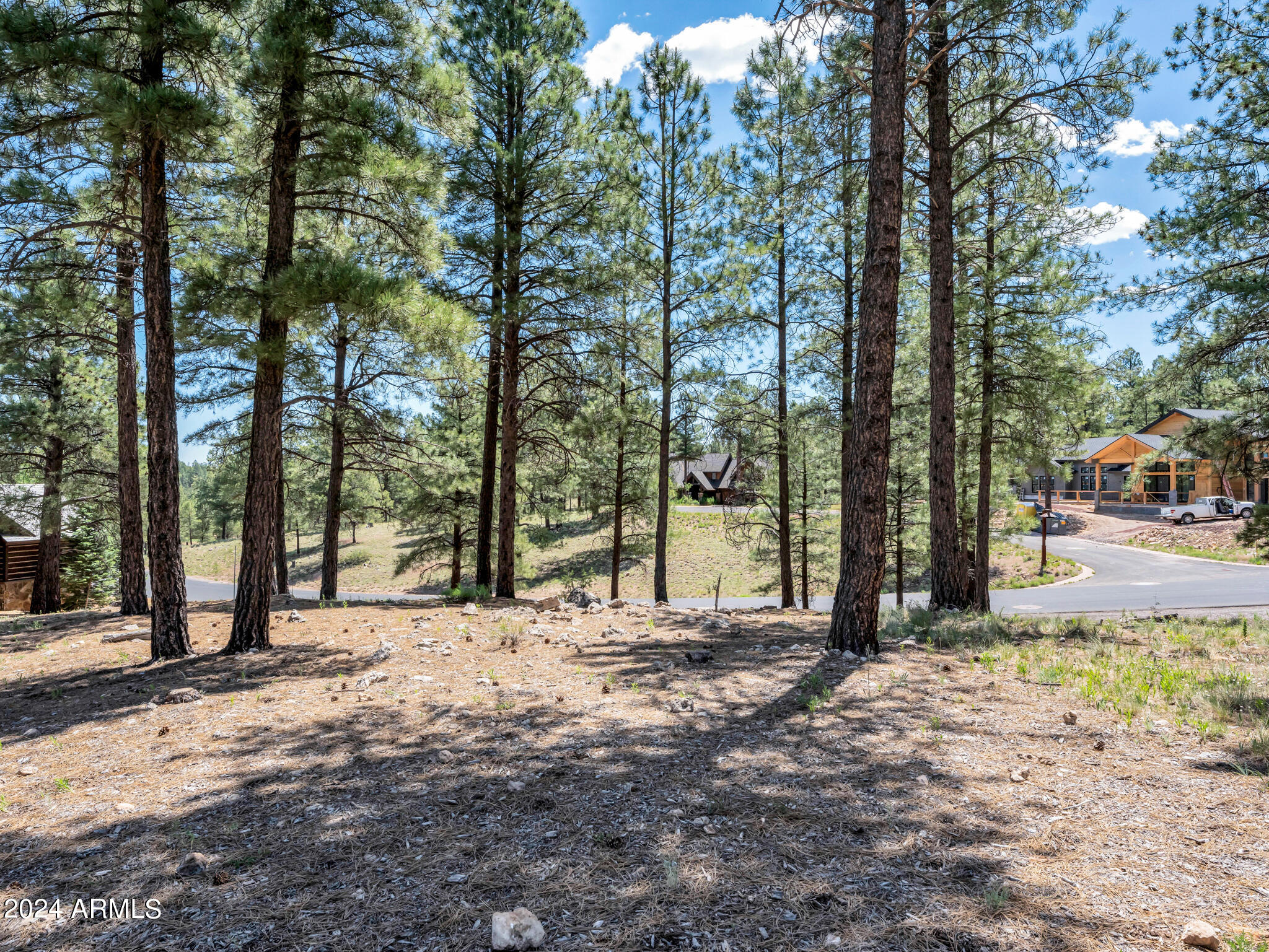 Pine Canyon - Land
