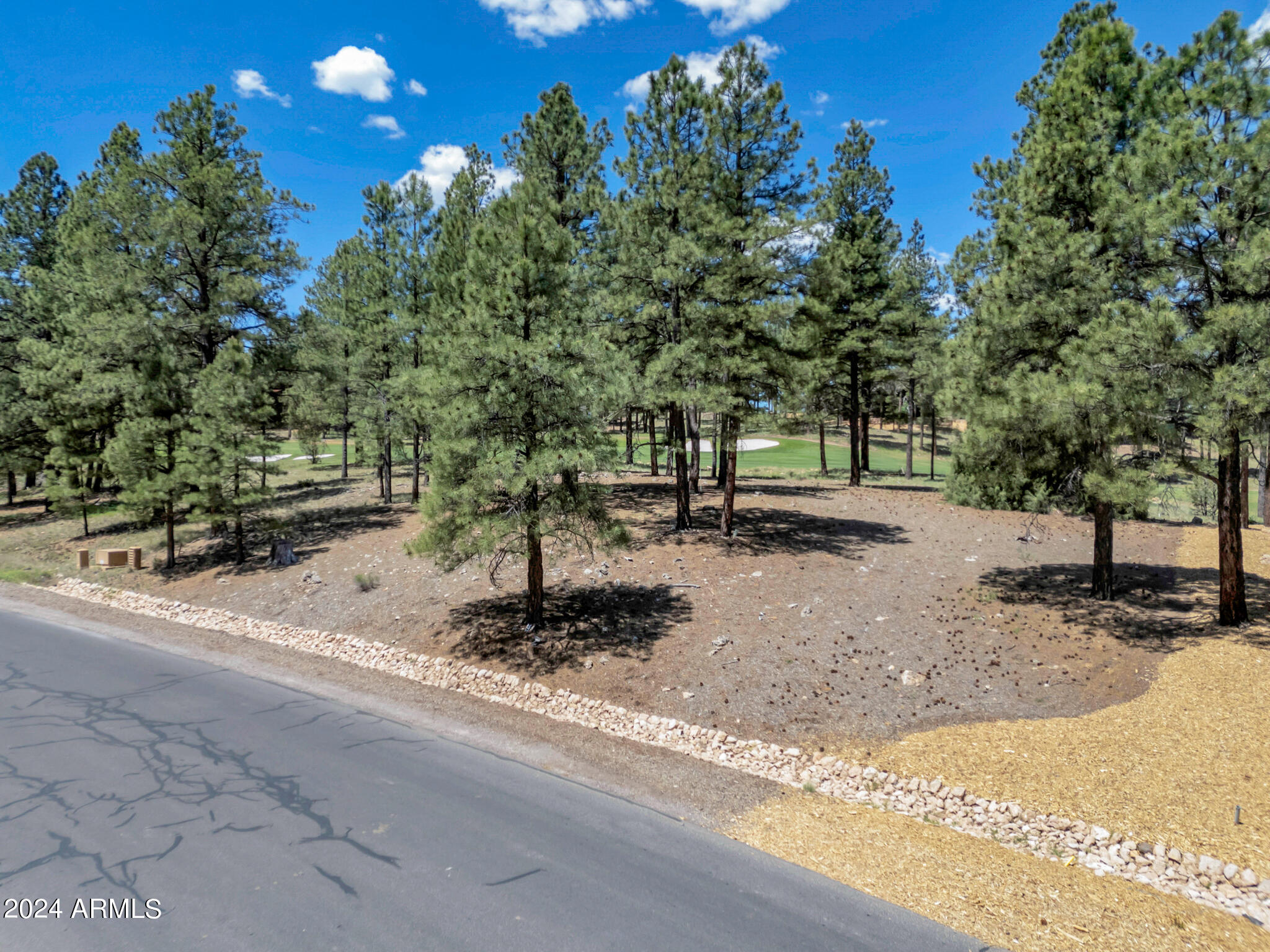 Pine Canyon - Land