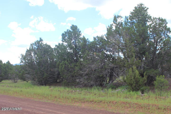 Park Show Low - Land