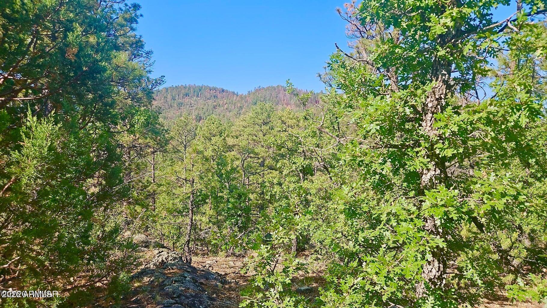 Views, privacy, yet still close to all amenities! Build your dream house, cabin, or just park your RV on this beautiful, heavily treed property! New 80 square foot shed, firepit and upgraded gravel driveway and parking pad have been recently added and all stay with the property. Situated on an excellent road with power and phone nearby. This is your chance to own Seller has an active AZ real estate license.