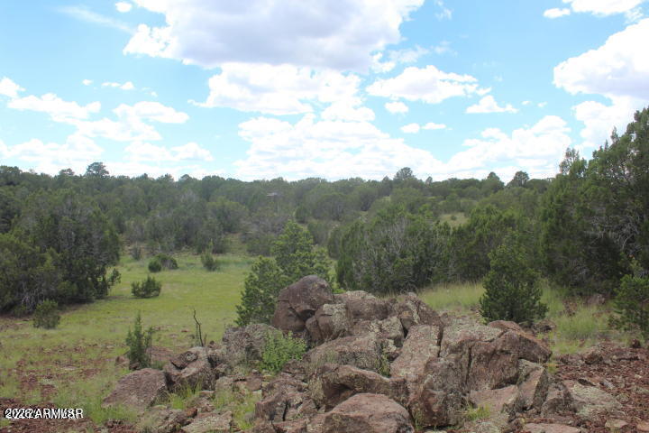 Park Show Low - Land