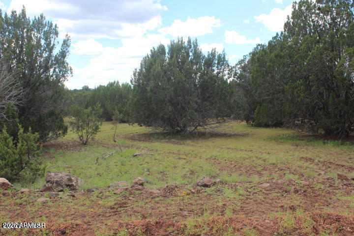 Park Show Low - Land
