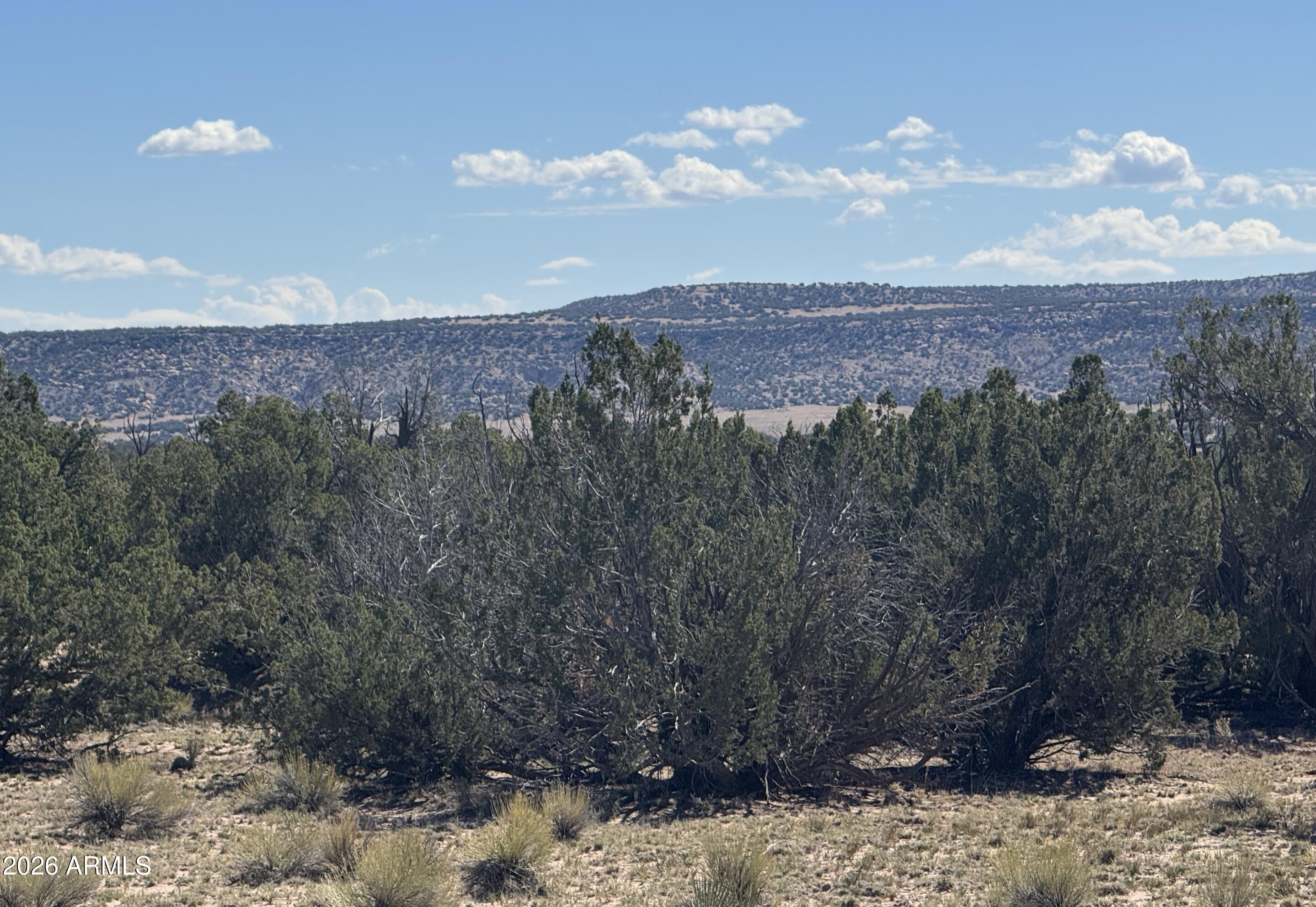 WOODLAND VALLEY RANCH UNIT 5 - Land