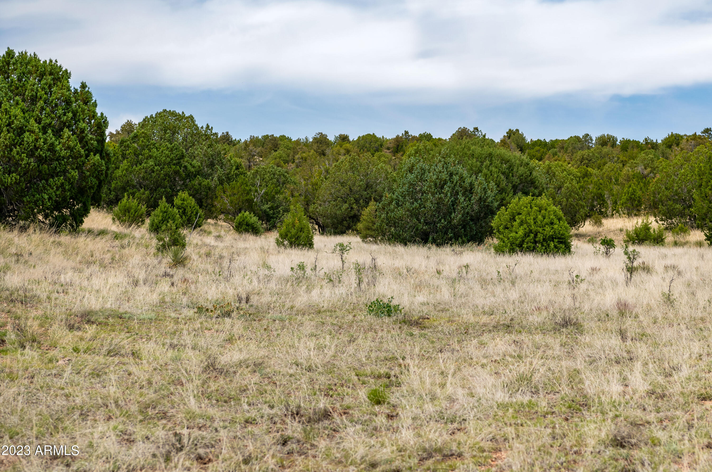 ANTELOPE VALLEY RANCHES PHASE 1 - Land