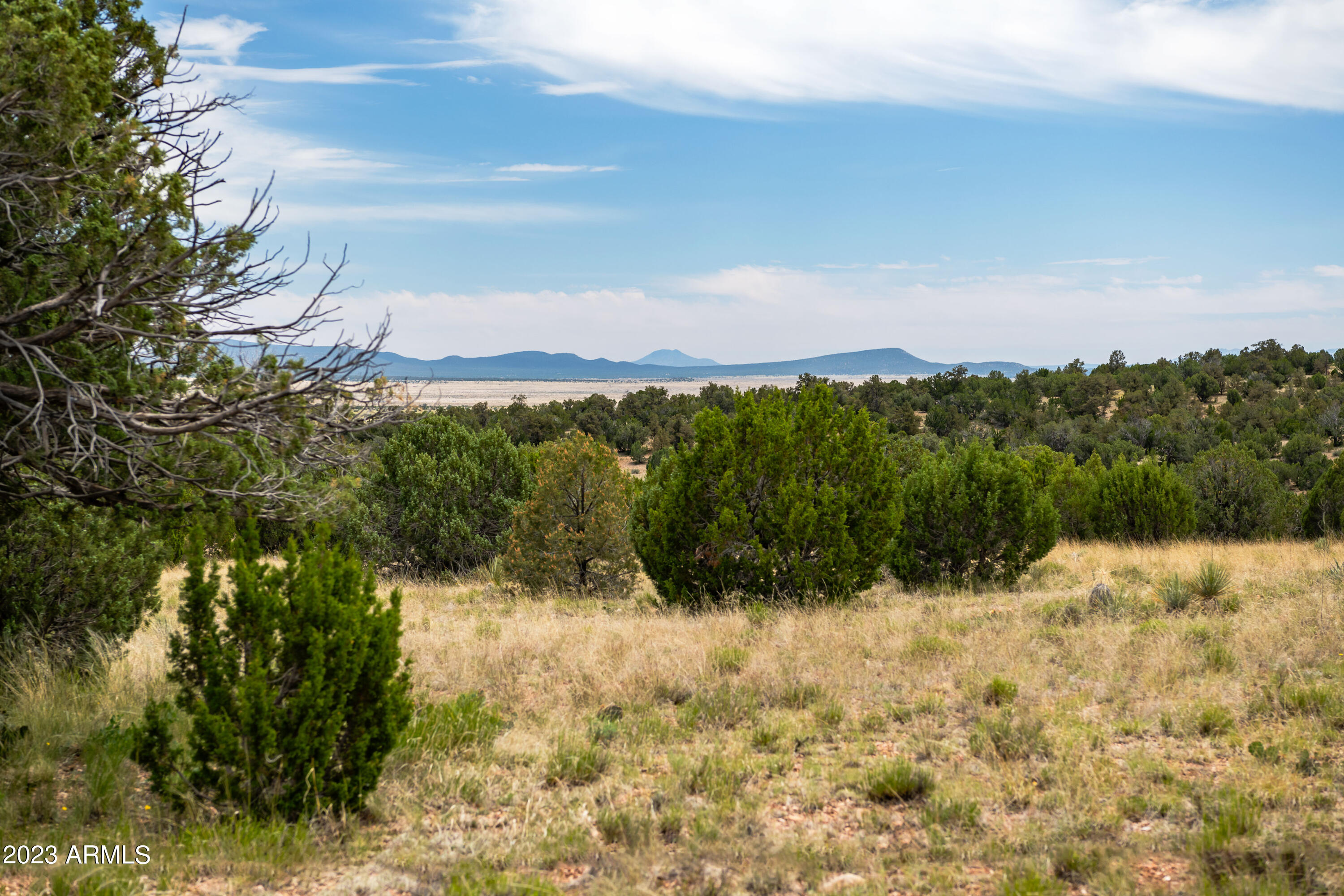 ANTELOPE VALLEY RANCHES PHASE 1 - Land