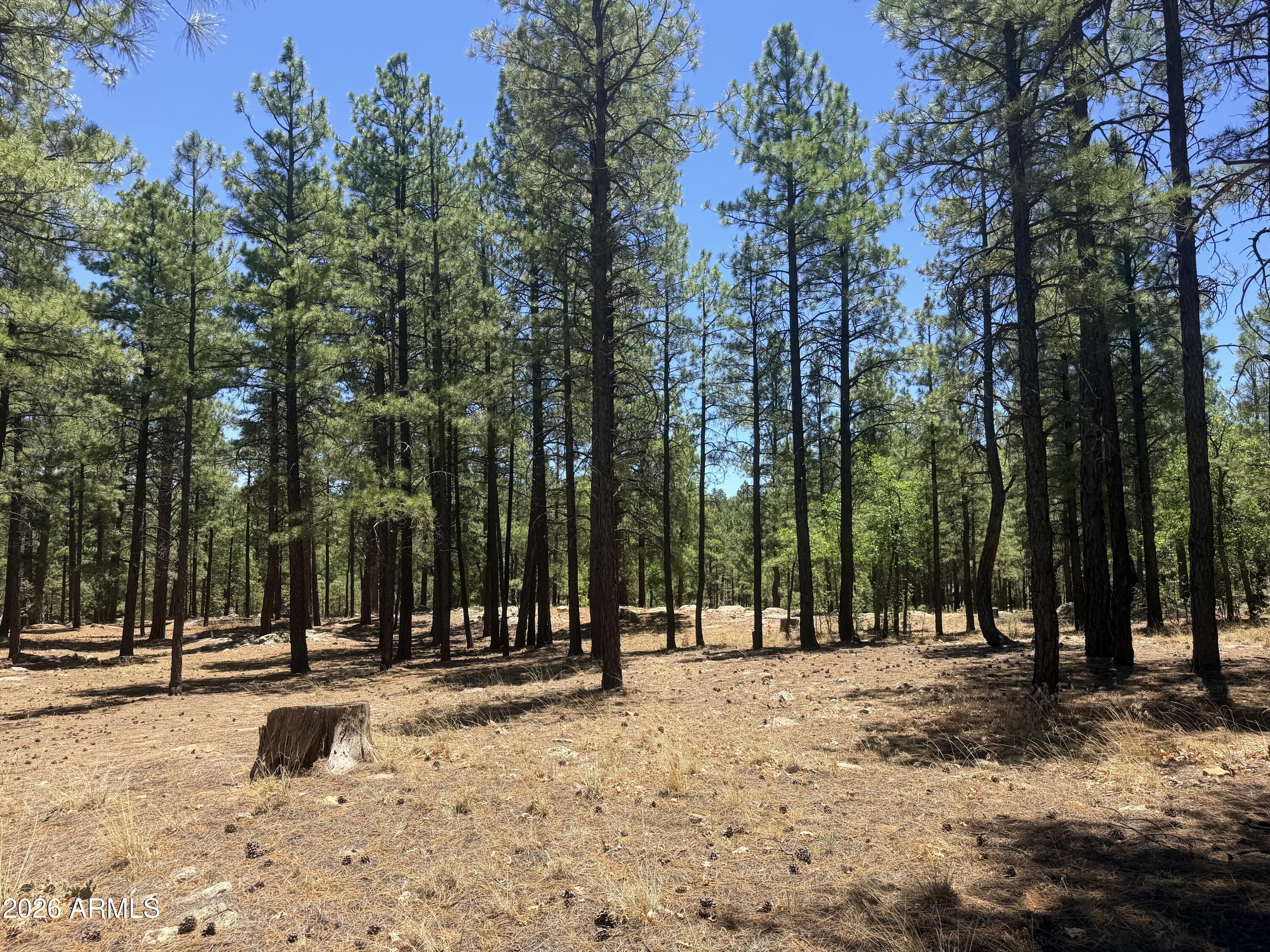 STARLIGHT PINES 4 PHASE 1 - Land