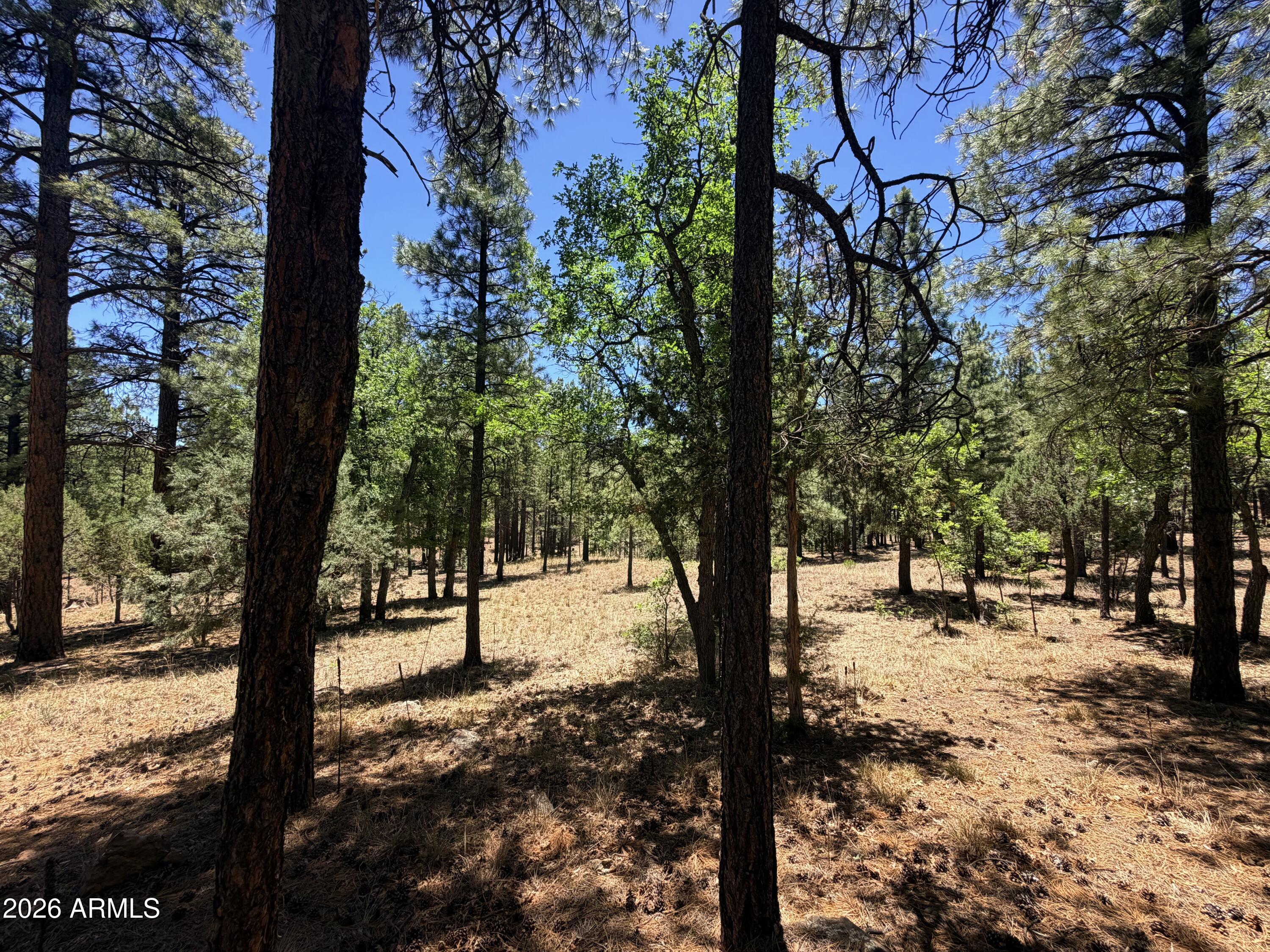 Ready to build your forever home in Happy Jack. This is the lot for you.  Beautifully displayed with a variety of mature trees including Ponderosa pines, Oak and juniper.  The back of the lot gently slopes and backs up to a beautiful greenbelt. Build your home and sit back and watch the wildlife saunter by down the greenbelt.  Lot has water and electricity to the lot line but will need septic installed.  No RV camping/parking allowed. Community is a firewise subdivision.