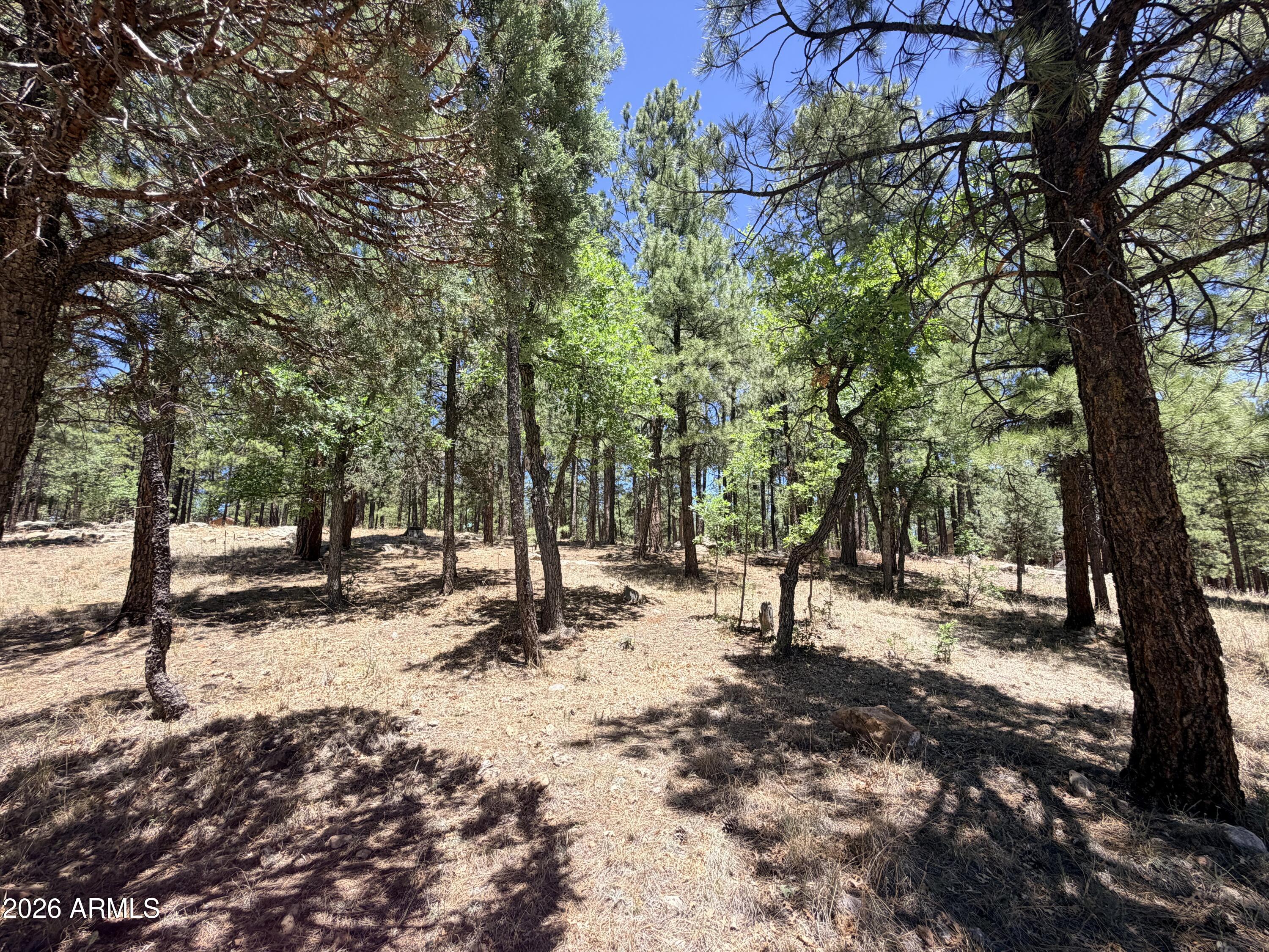 STARLIGHT PINES 4 PHASE 1 - Land