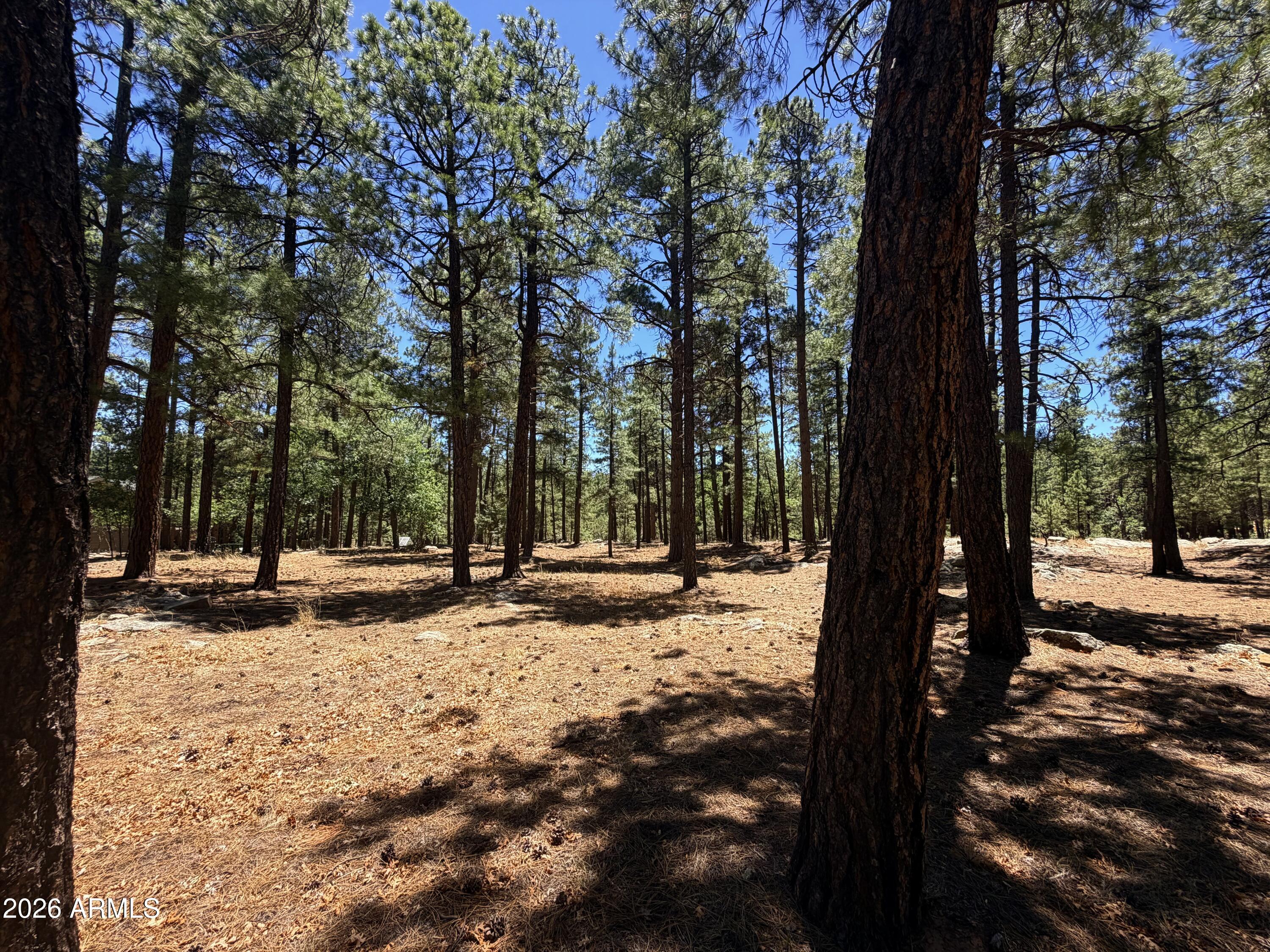 STARLIGHT PINES 4 PHASE 1 - Land