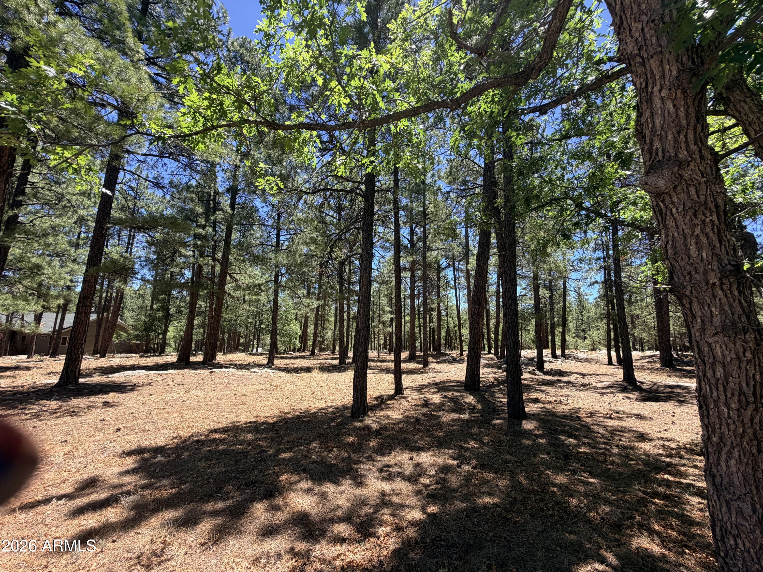 STARLIGHT PINES 4 PHASE 1 - Land
