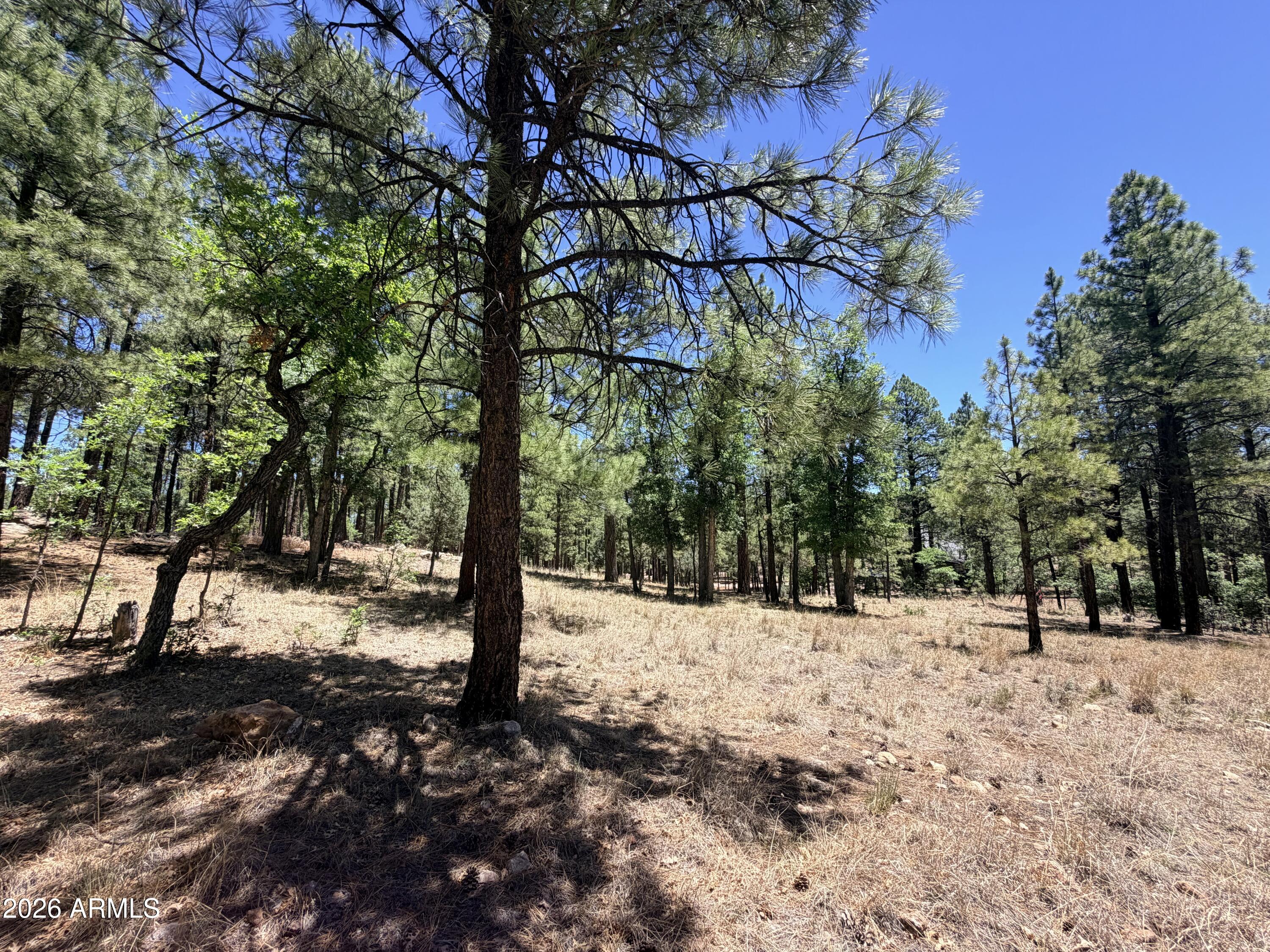 STARLIGHT PINES 4 PHASE 1 - Land