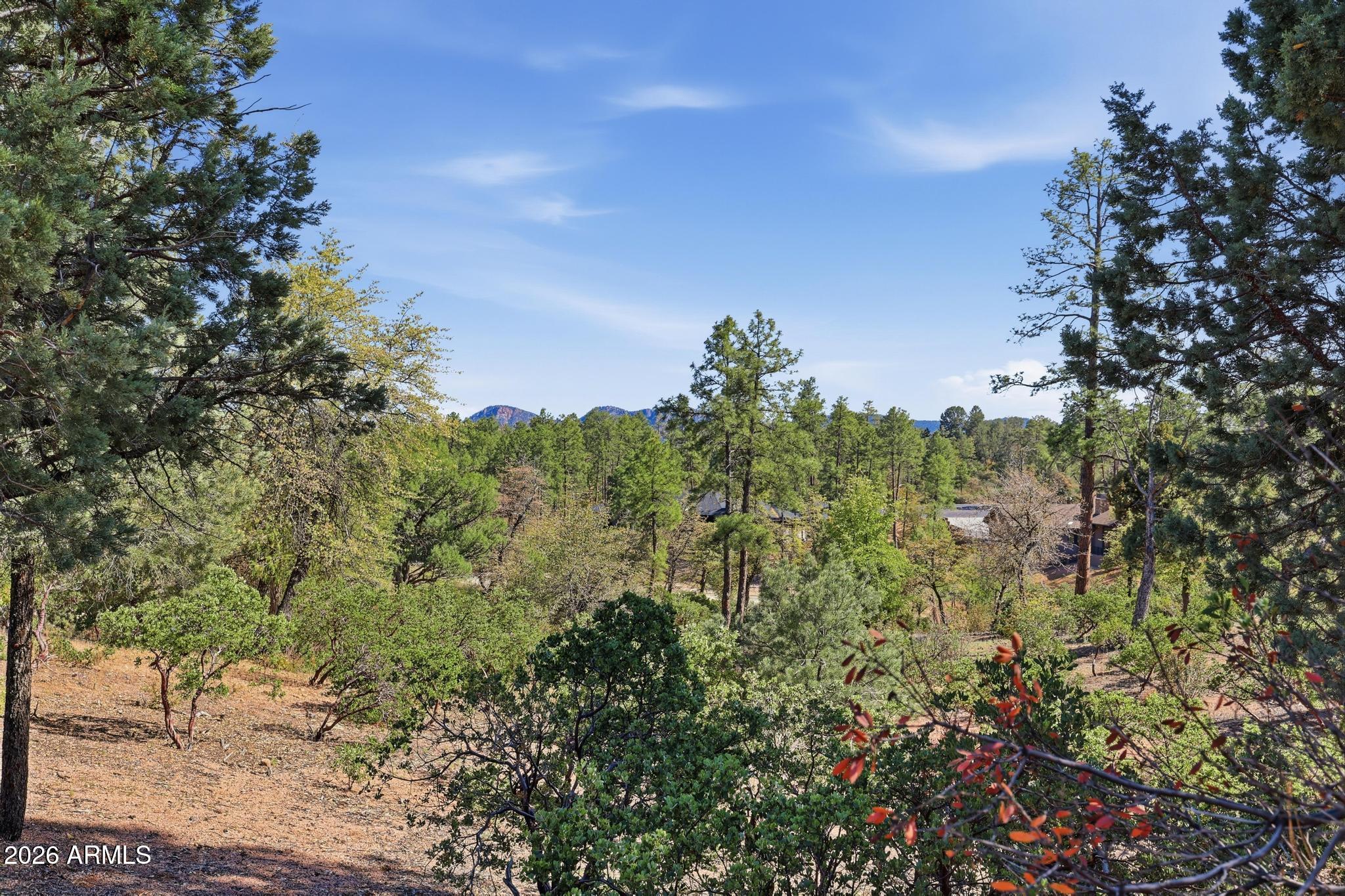 CHAPARRAL PINES PHASE 3 - Land