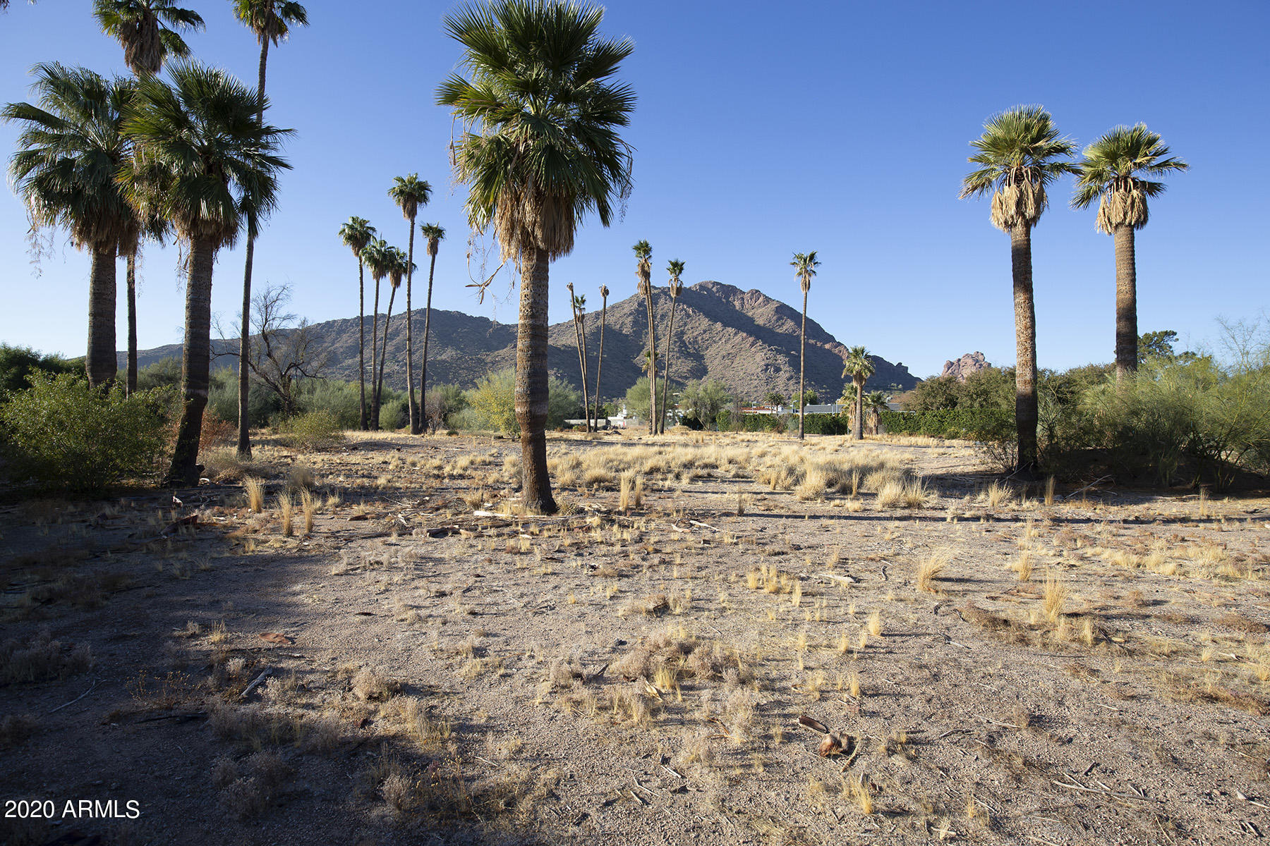 JOKAKE CAMELBACK PROPERTIES TRACT A - Land