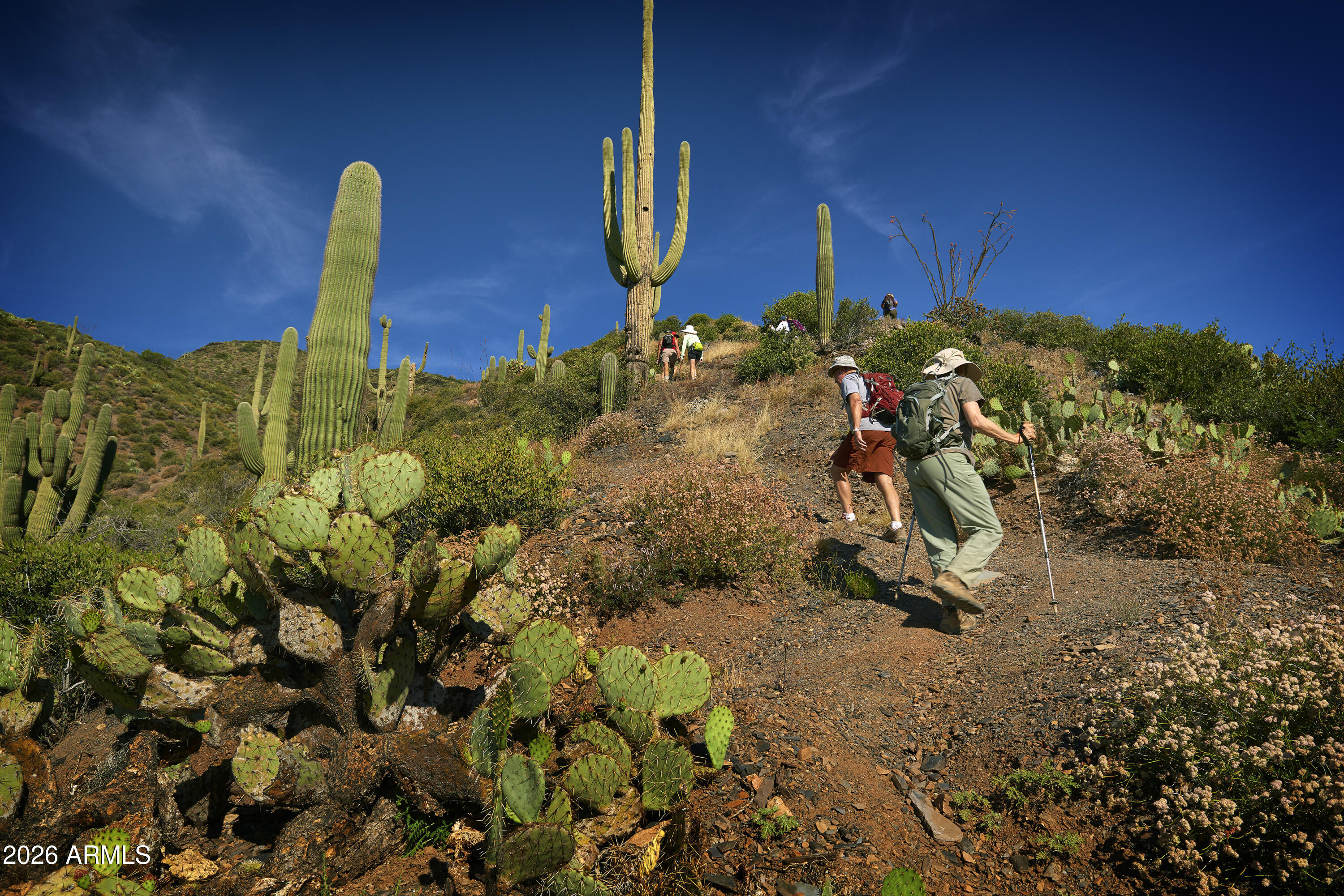 DESERT MOUNTAIN - Residential