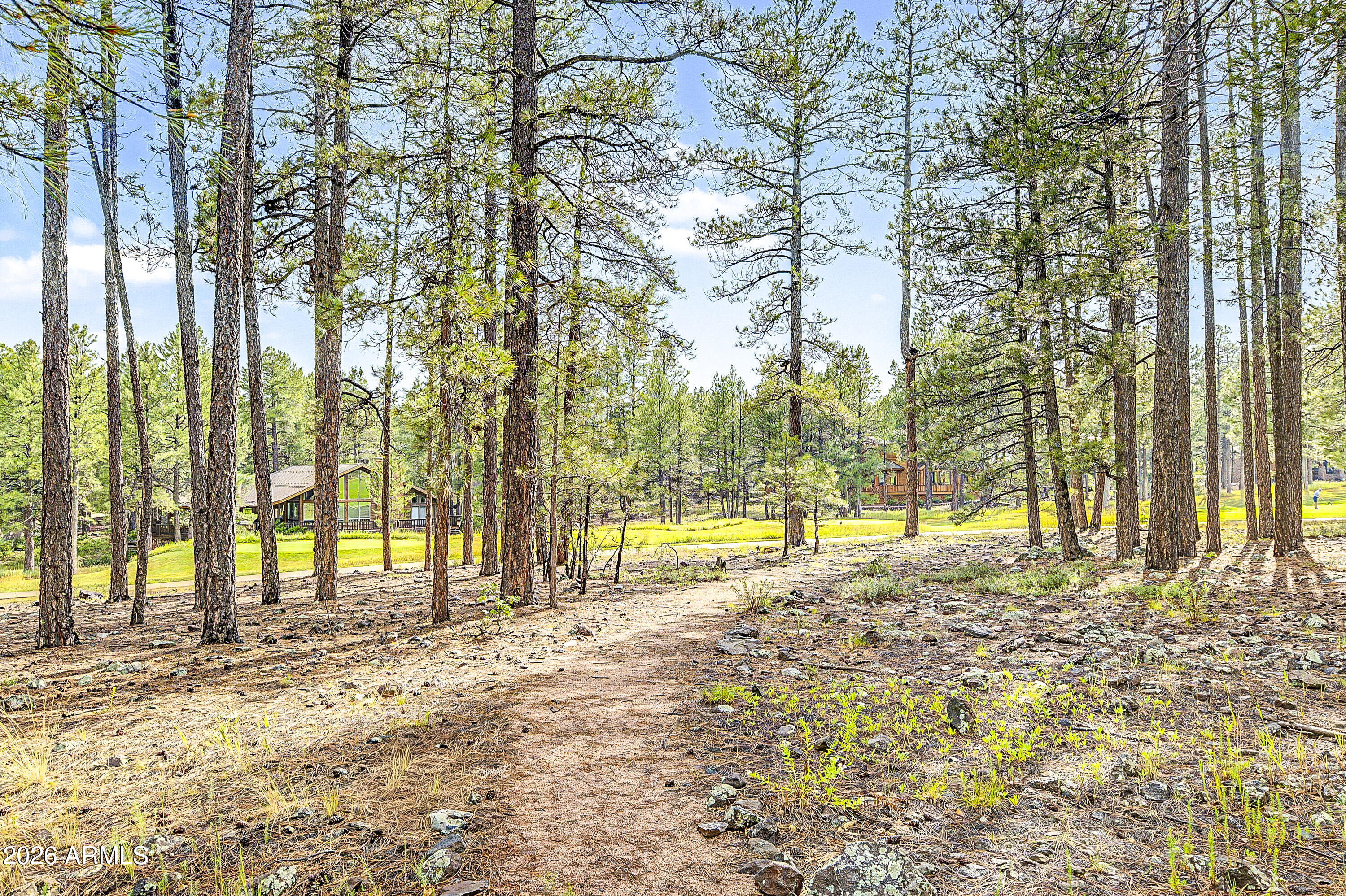 FOREST HIGHLANDS - Residential