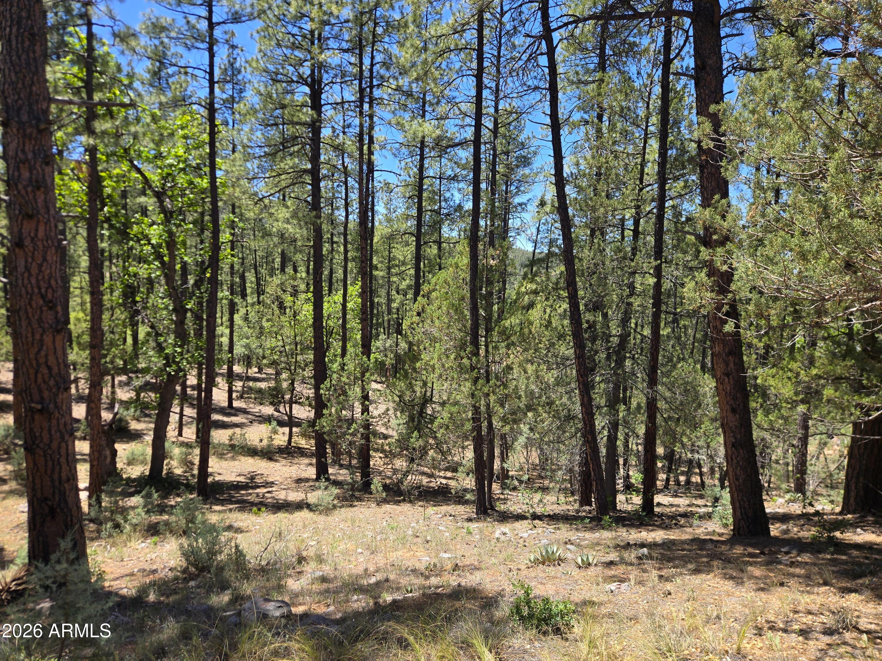 HUNTER CREEK RANCH - Land