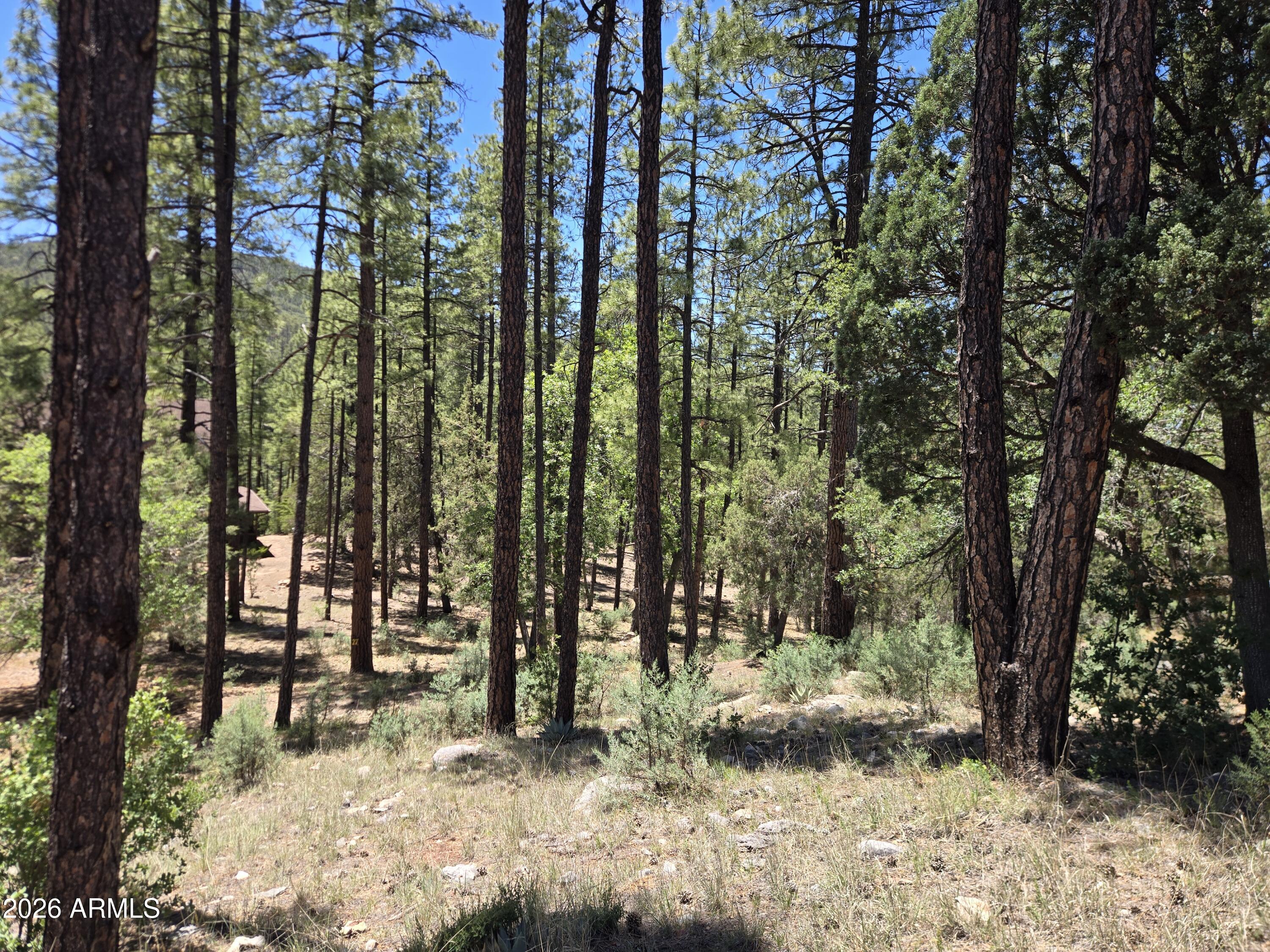 HUNTER CREEK RANCH - Land