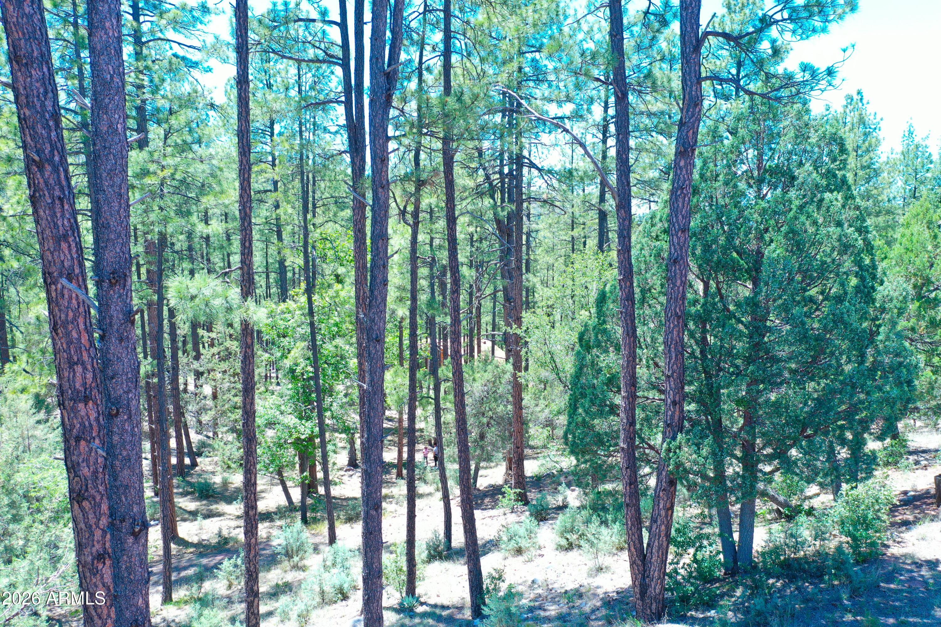 HUNTER CREEK RANCH - Land