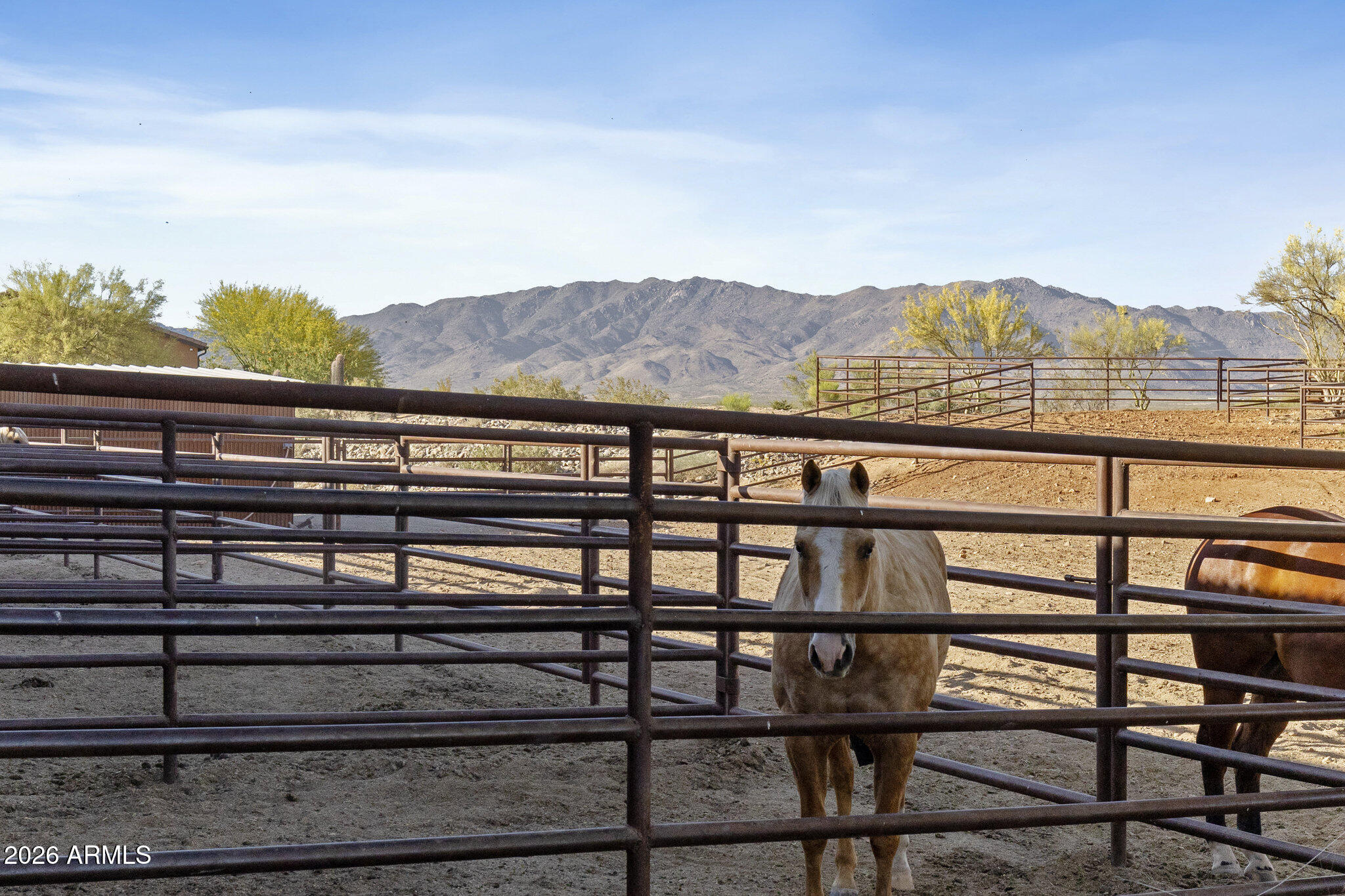 WICKENBURG NORTH RANCHES - Residential