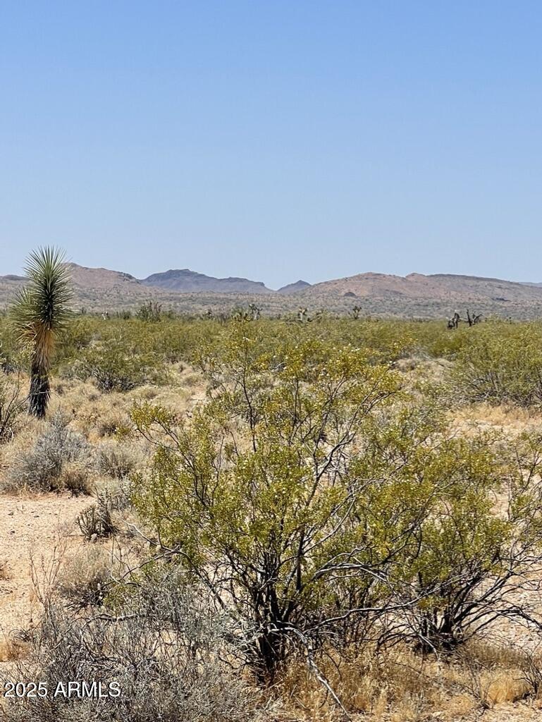 FRONTIER VALLEY - Land