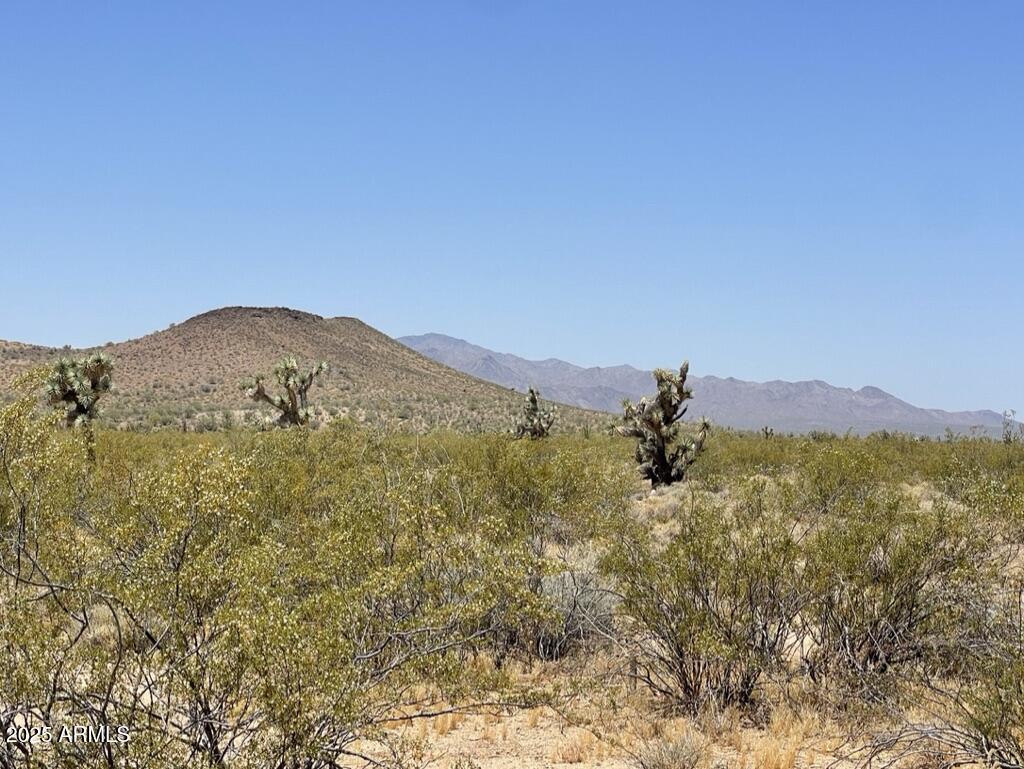 FRONTIER VALLEY - Land