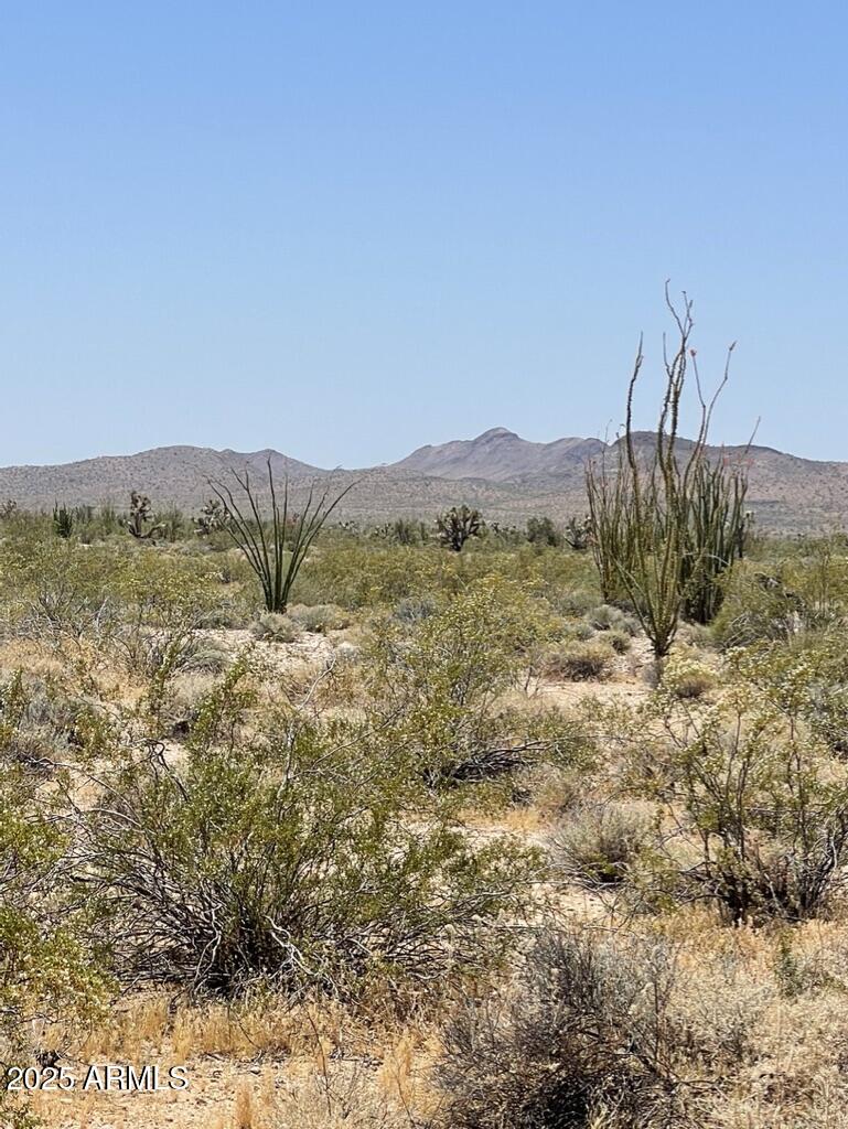 FRONTIER VALLEY - Land