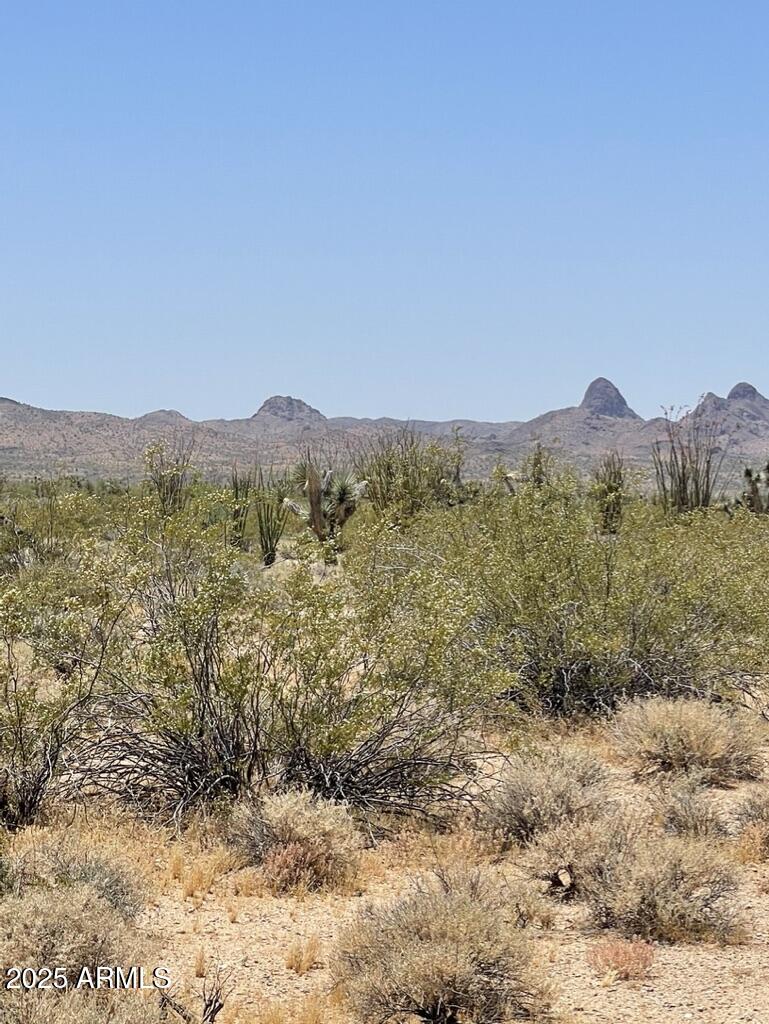 FRONTIER VALLEY - Land