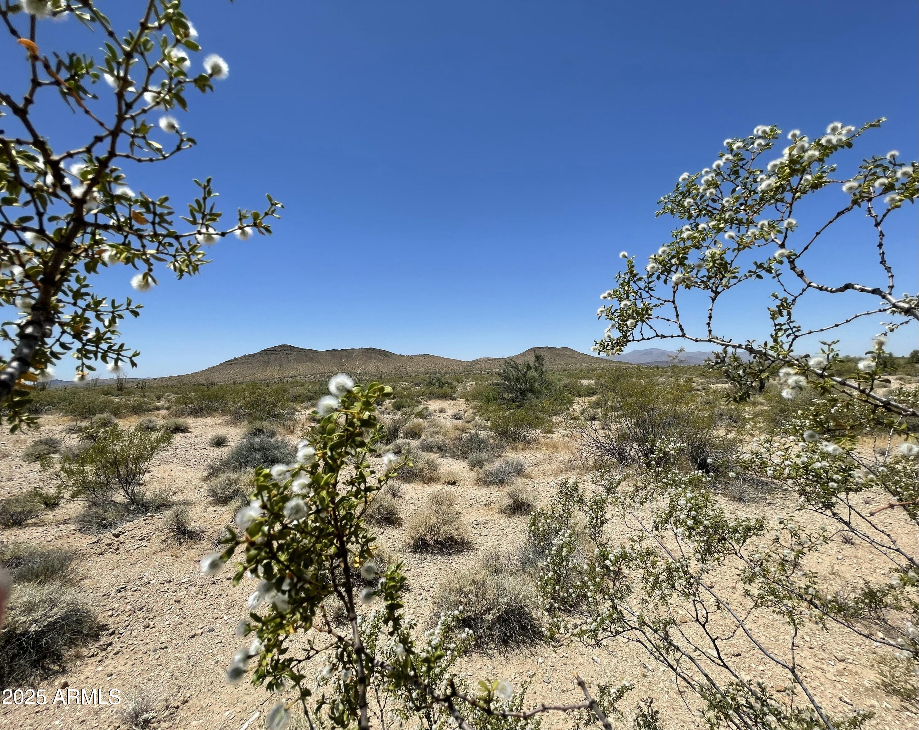FRONTIER VALLEY - Land