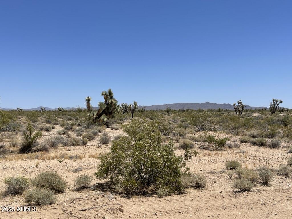 FRONTIER VALLEY - Land