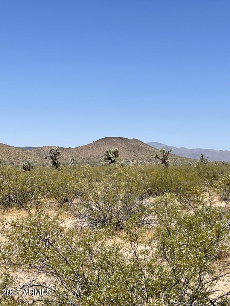 FRONTIER VALLEY - Land