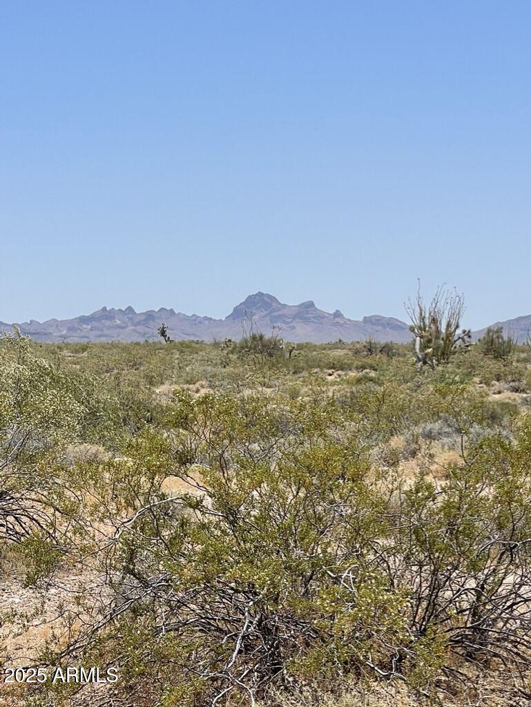 FRONTIER VALLEY - Land