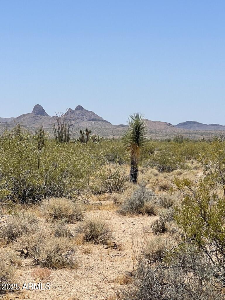 FRONTIER VALLEY - Land